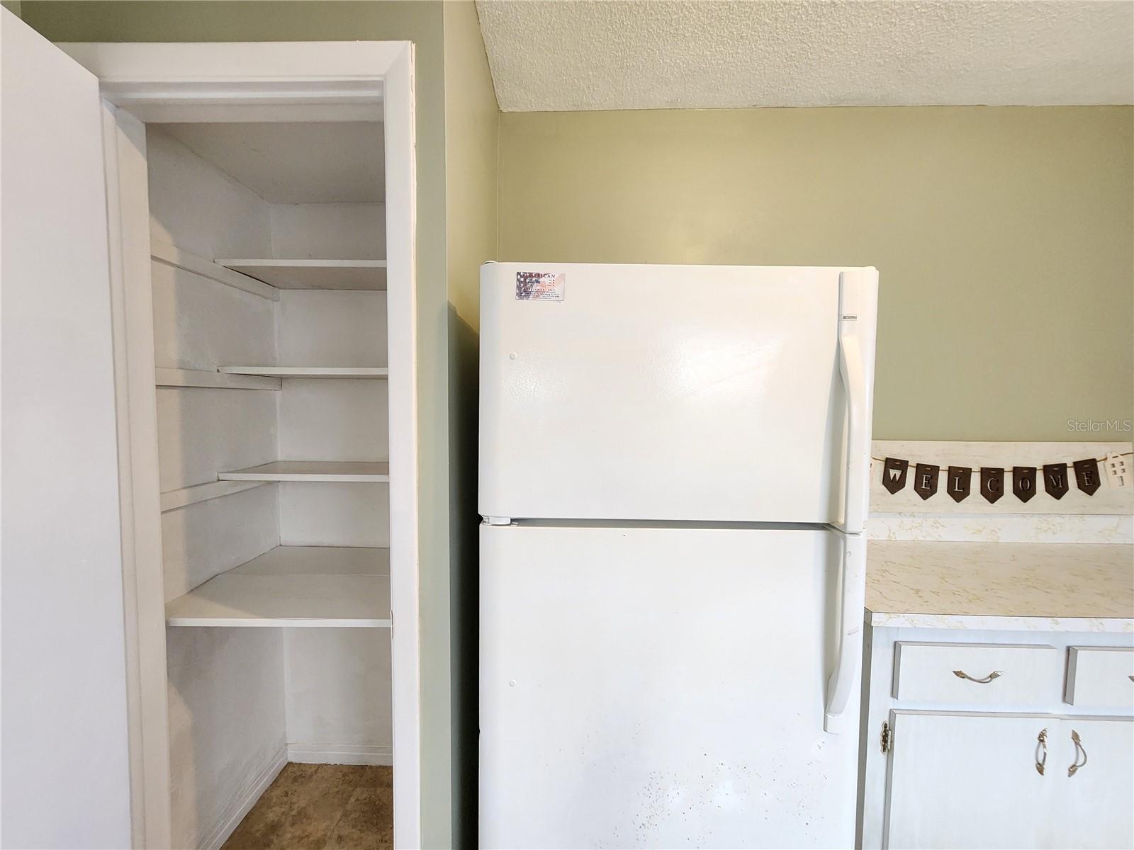 Kitchen pantry