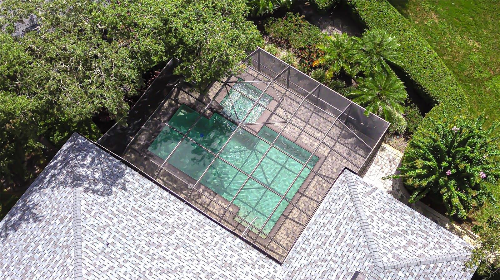 Aerial View of Pool