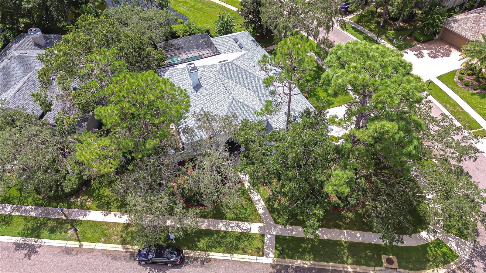 Aerial -.30 acre Corner Homesite