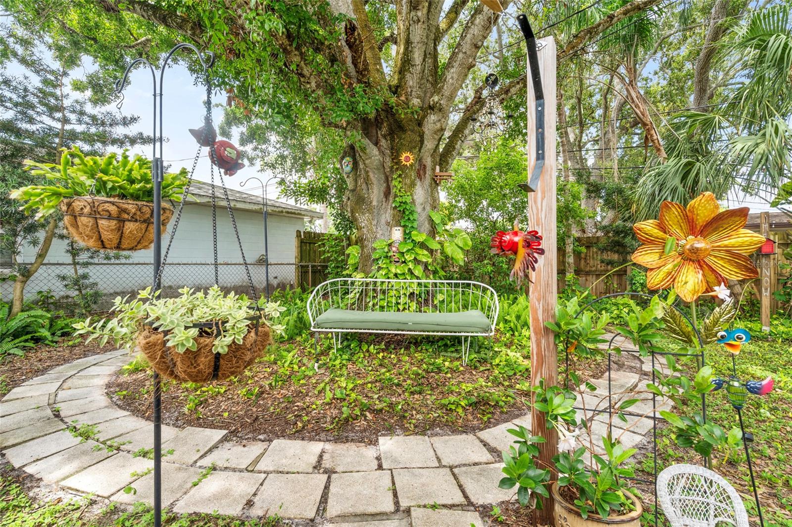 Backyard
