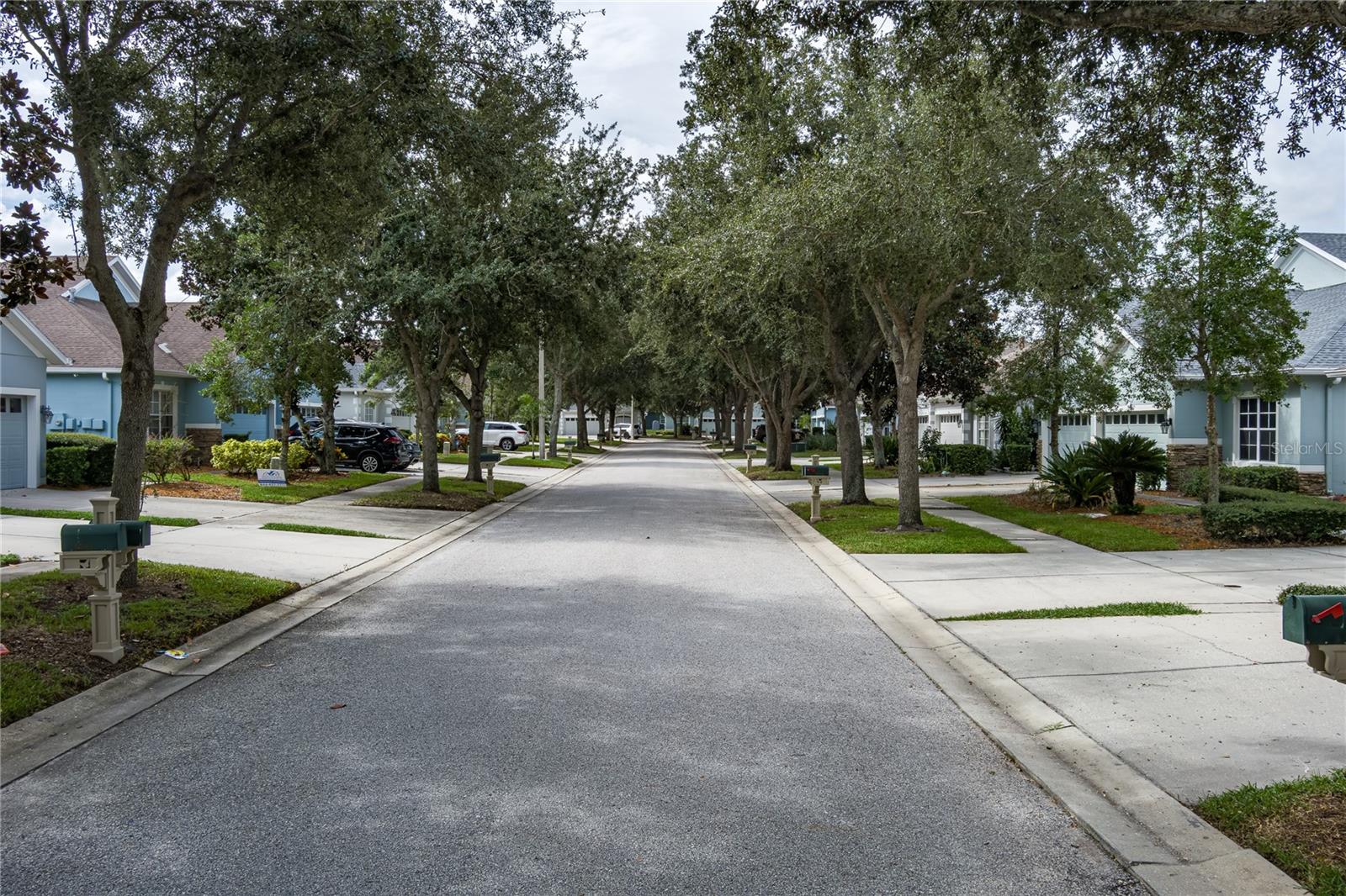 6936 Surrey Oak DrApollo Beach, FL 33572MLS A4663605