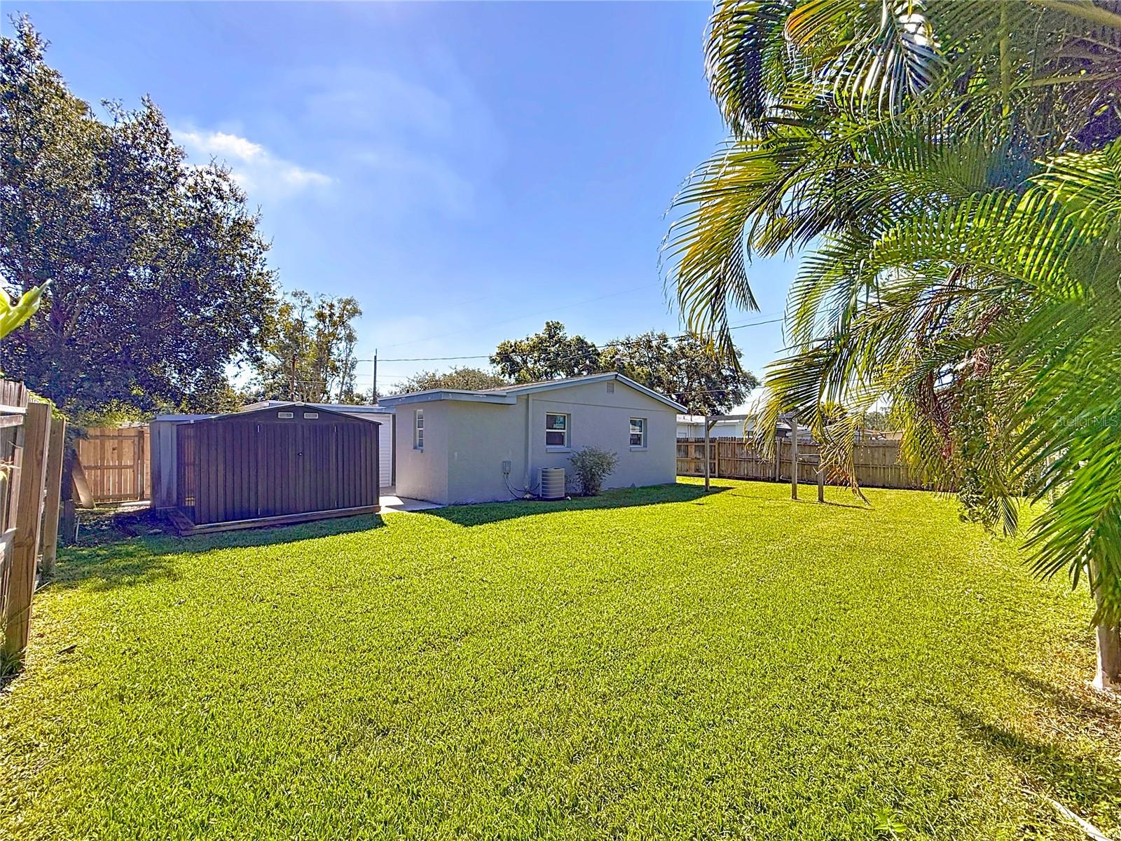 Large Backyard