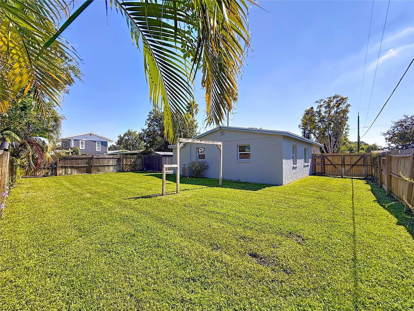 Large Backyard