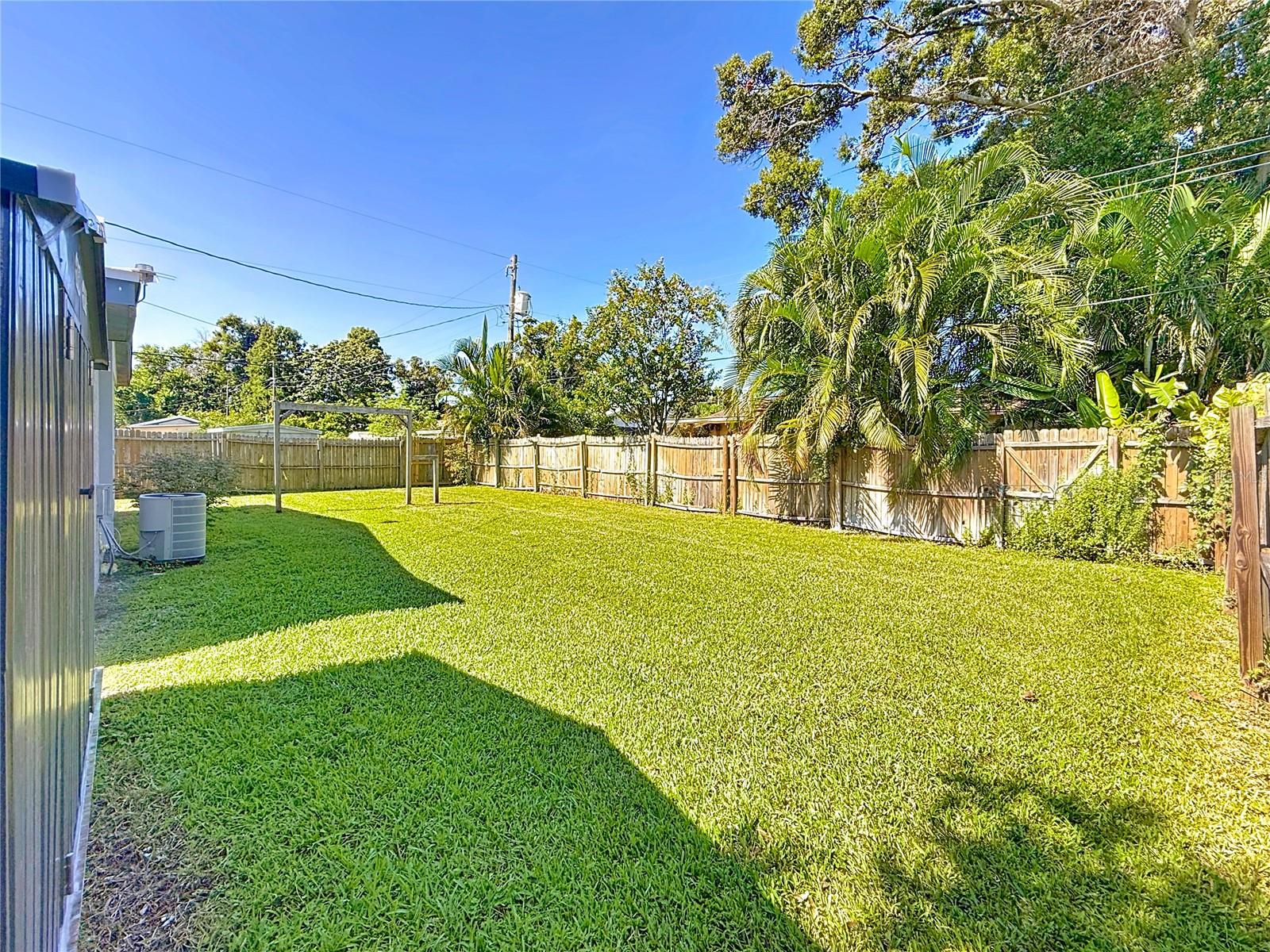 Large Backyard