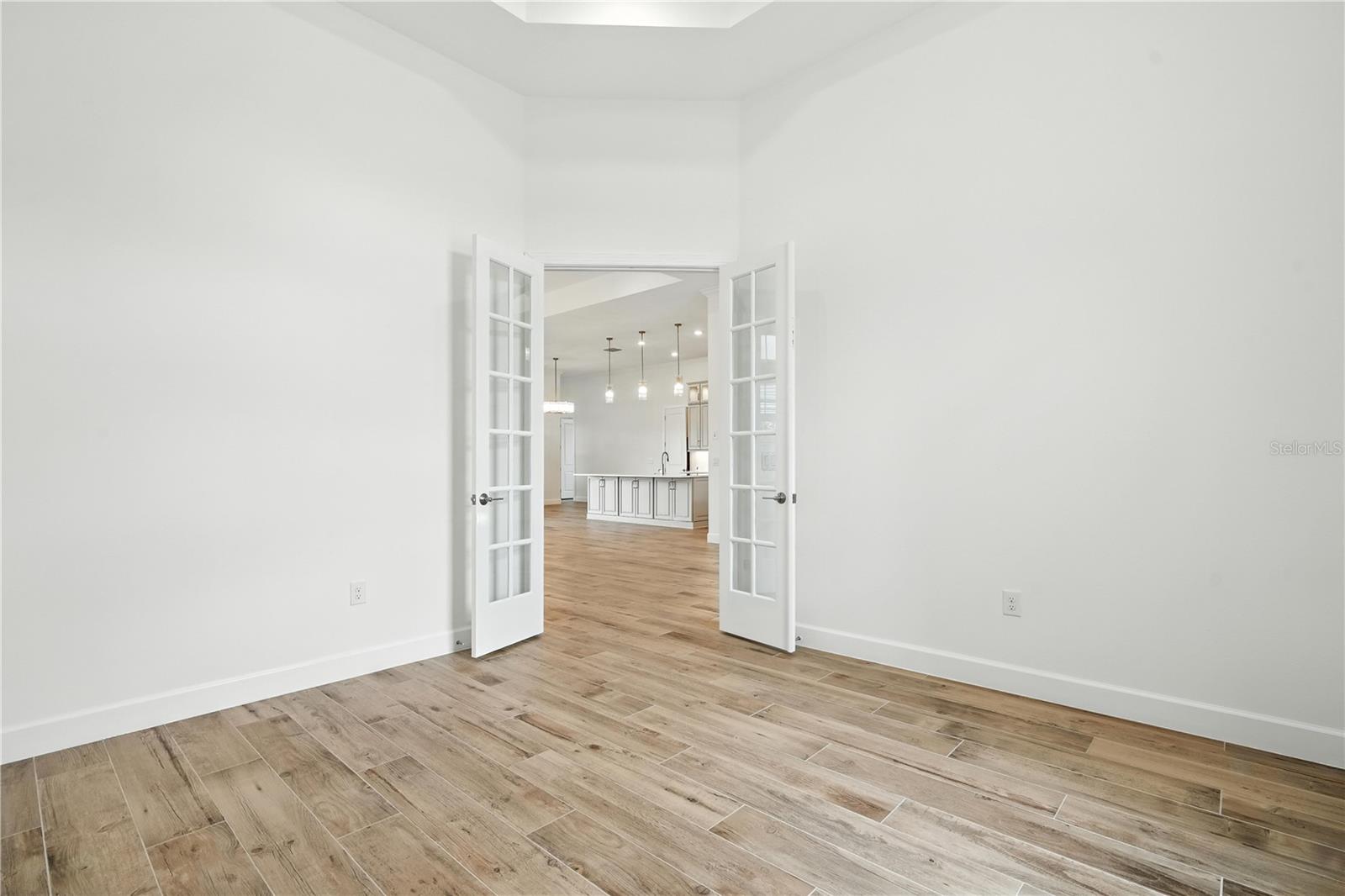 Office with Tray Ceilings