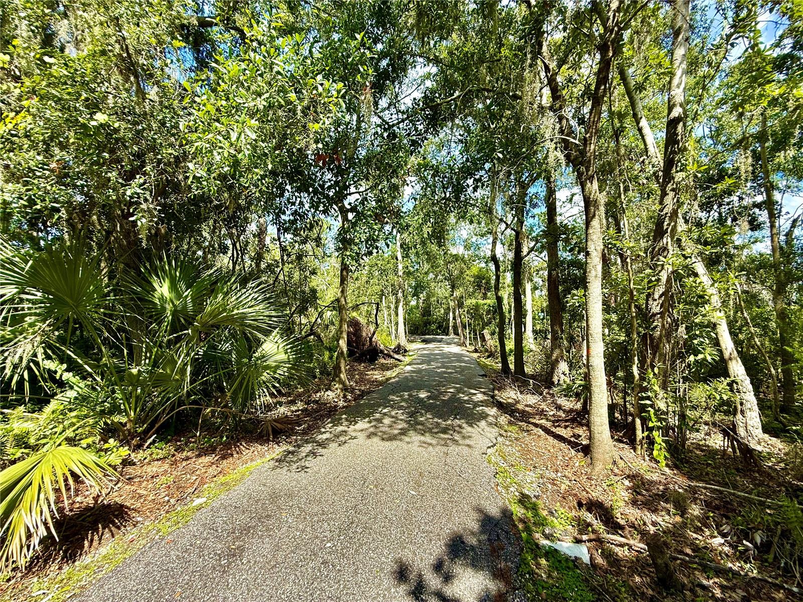 Community Walking Trails