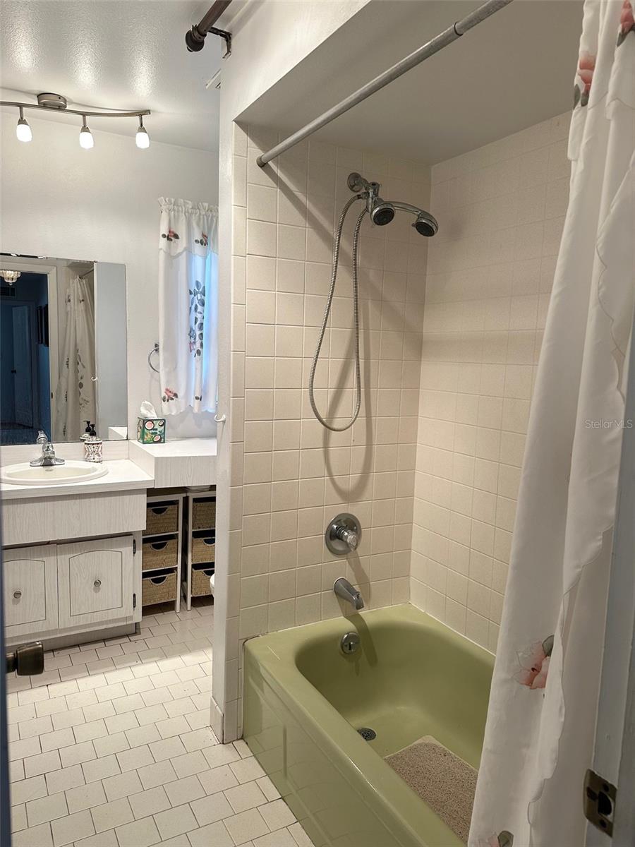 Main Bath