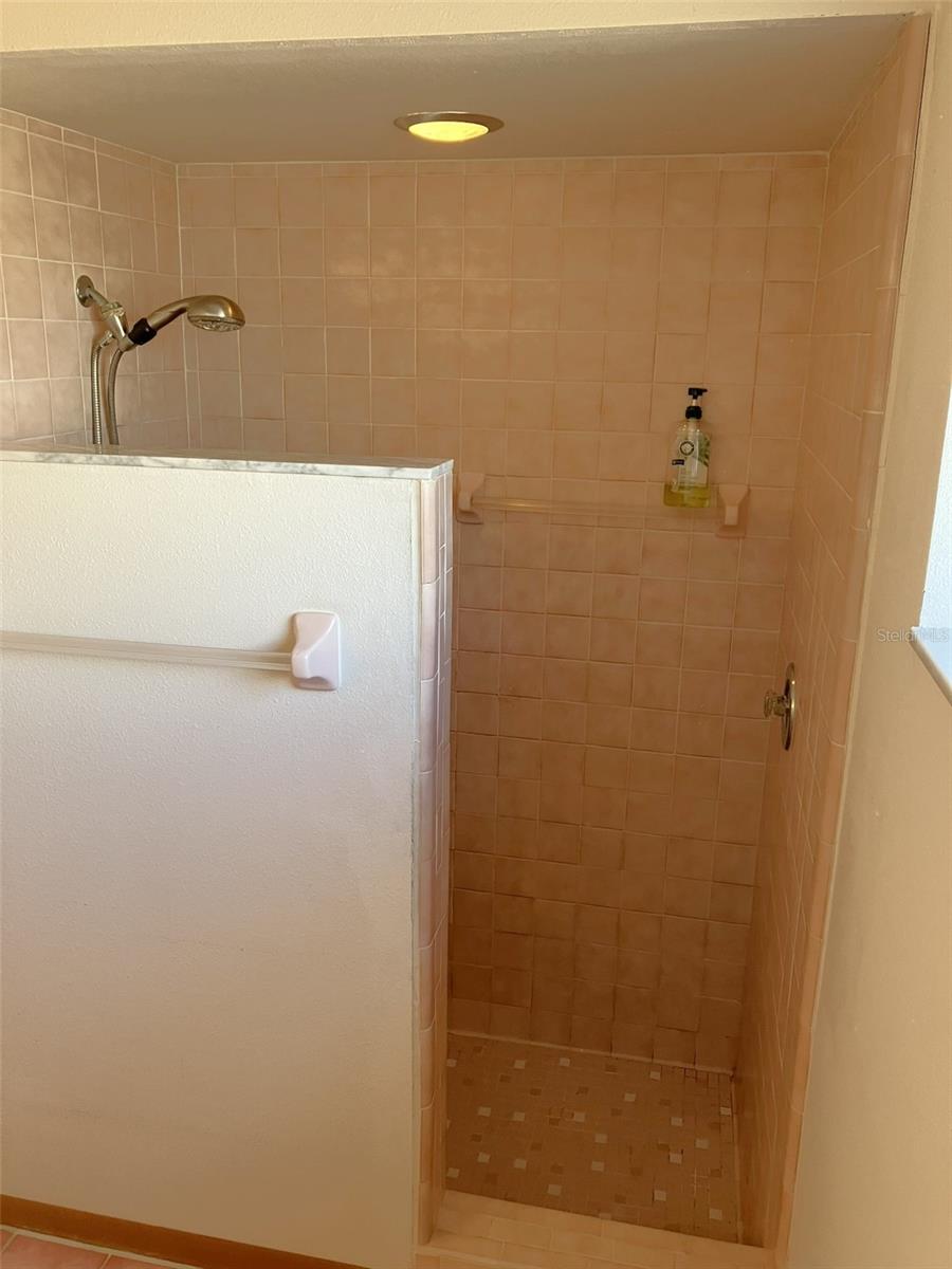 Master Shower