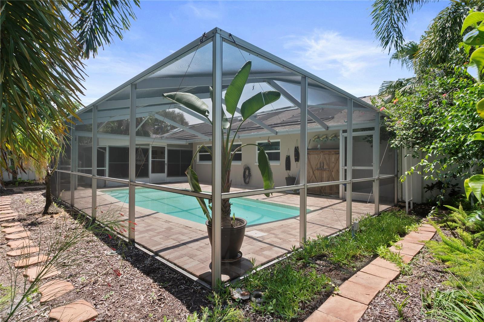 Tropical low maintenance back yard