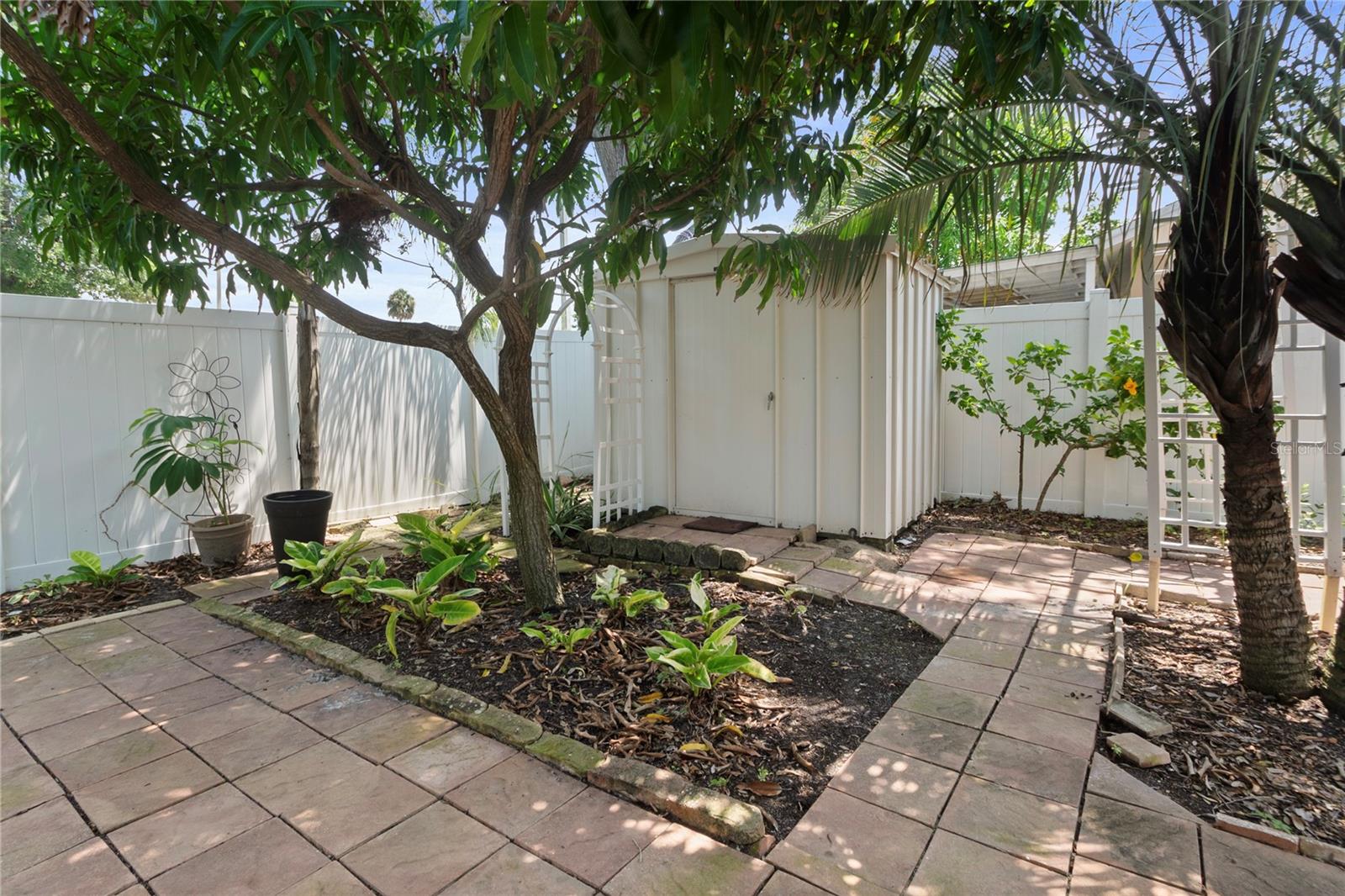 Shed in the rear yard