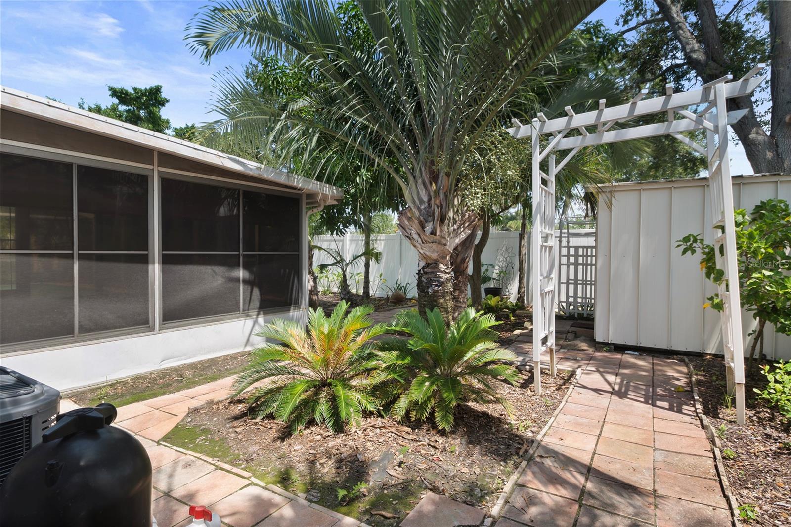 Tropical low maintenance back yard