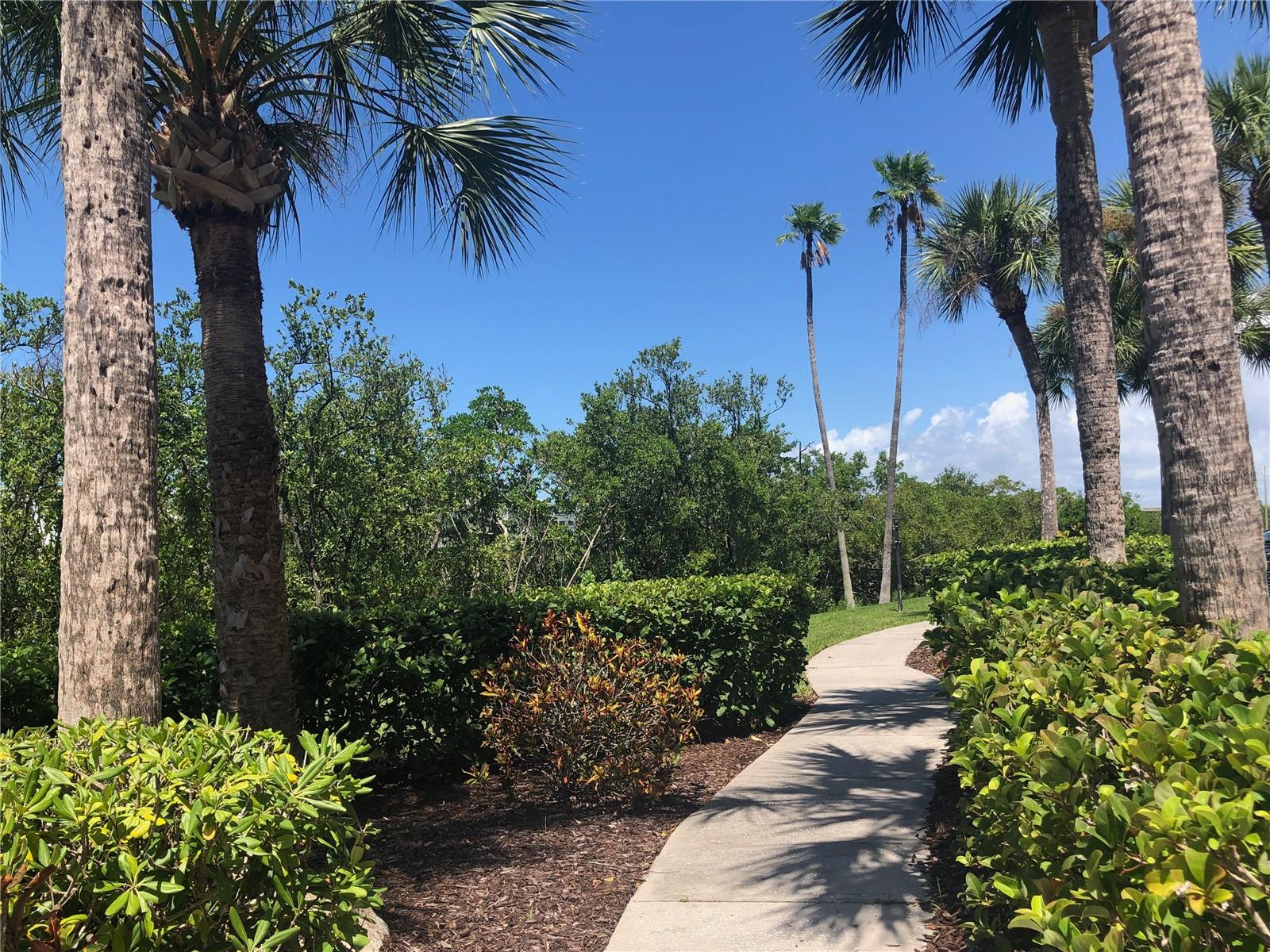 Nature Trails