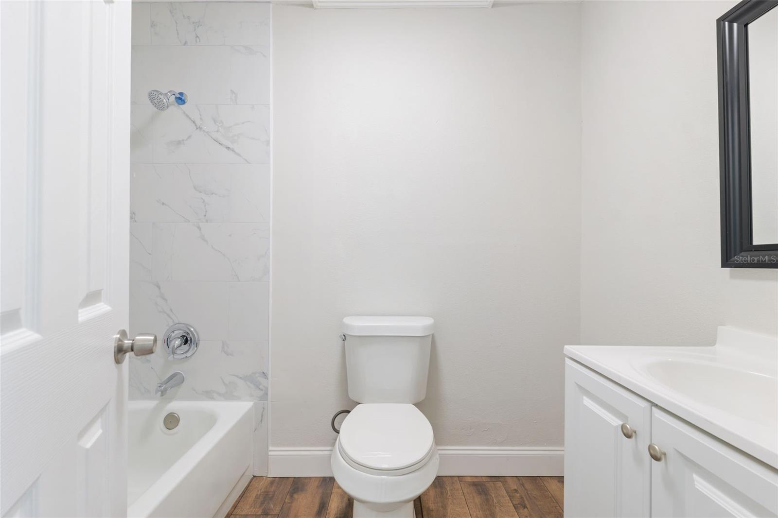 In-Law Suite Bathroom