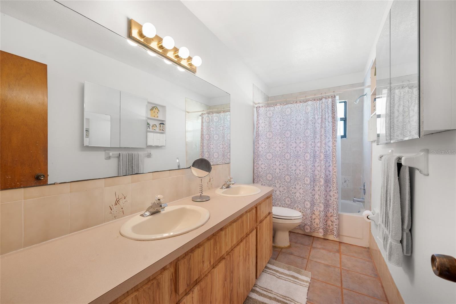 Large guest bath