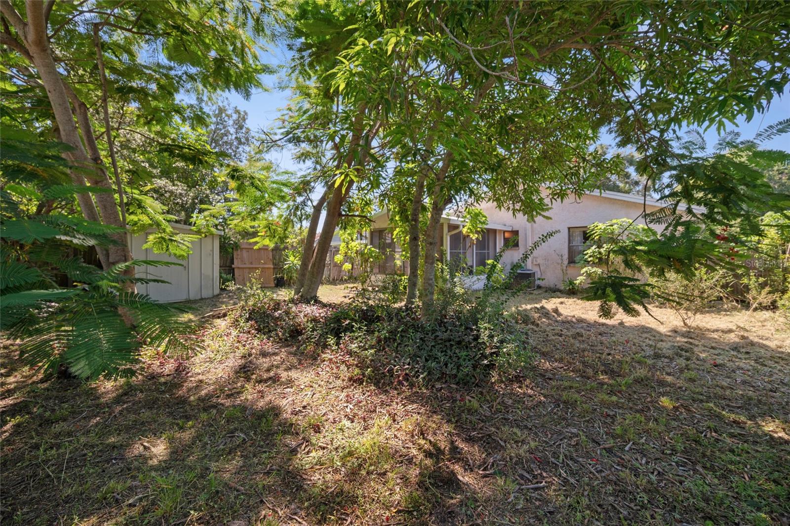 Back yard could become your own oasis
