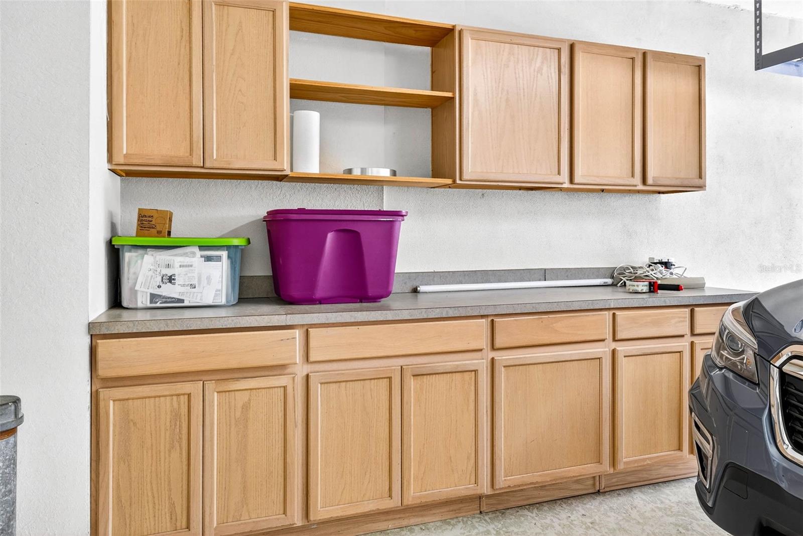 Storage Cabinets in Garage