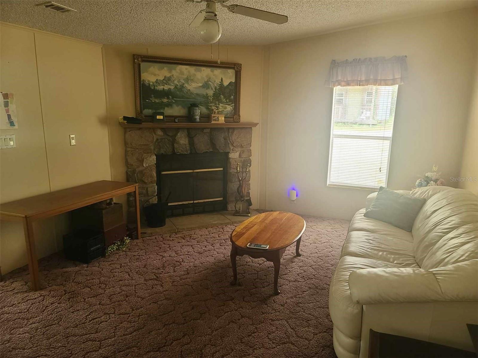 Family Room with Wood Burning Fireplace off Kitchen