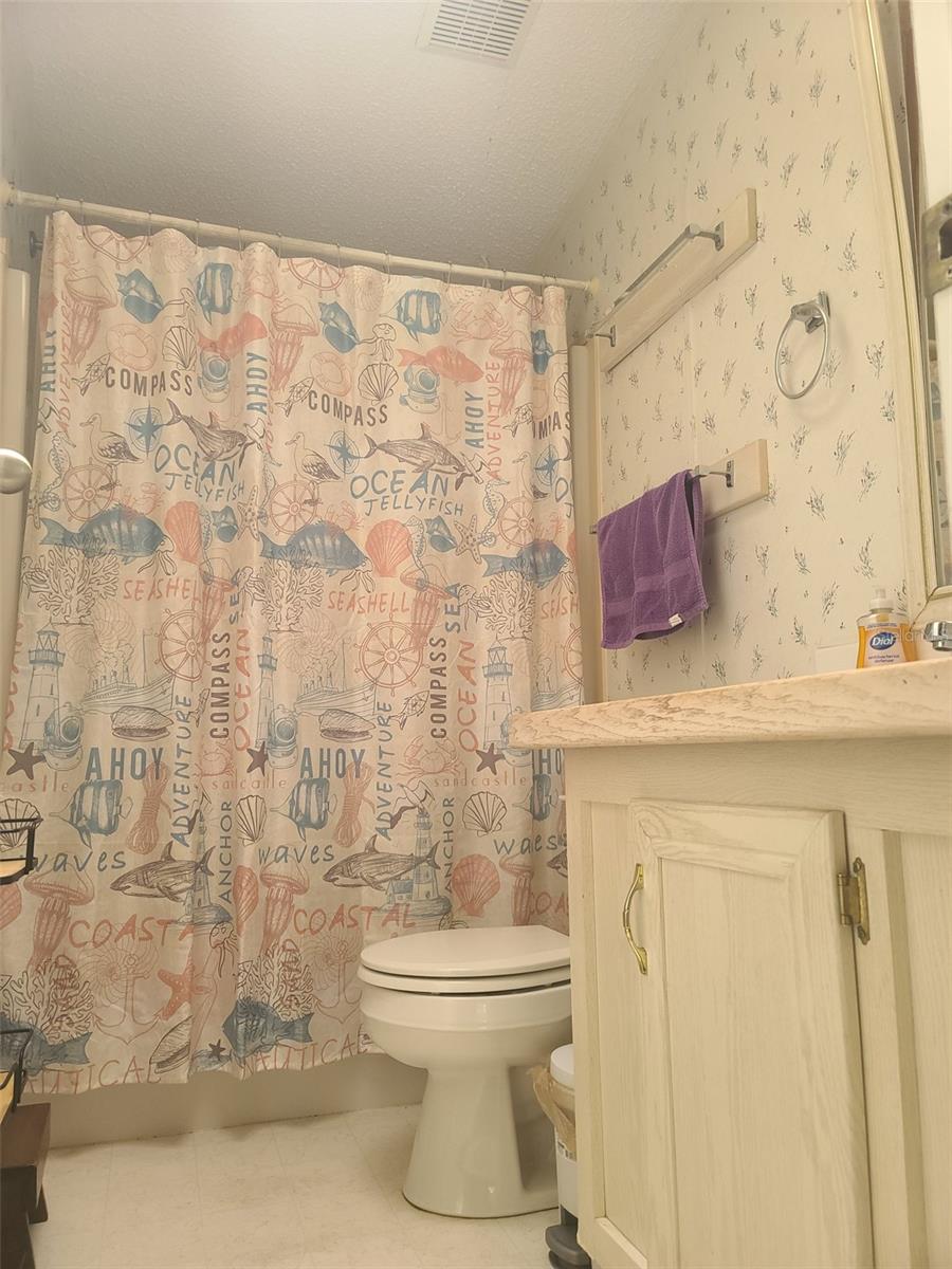 Hall Bath between the 2 bedrooms off the Fireplace Family room.