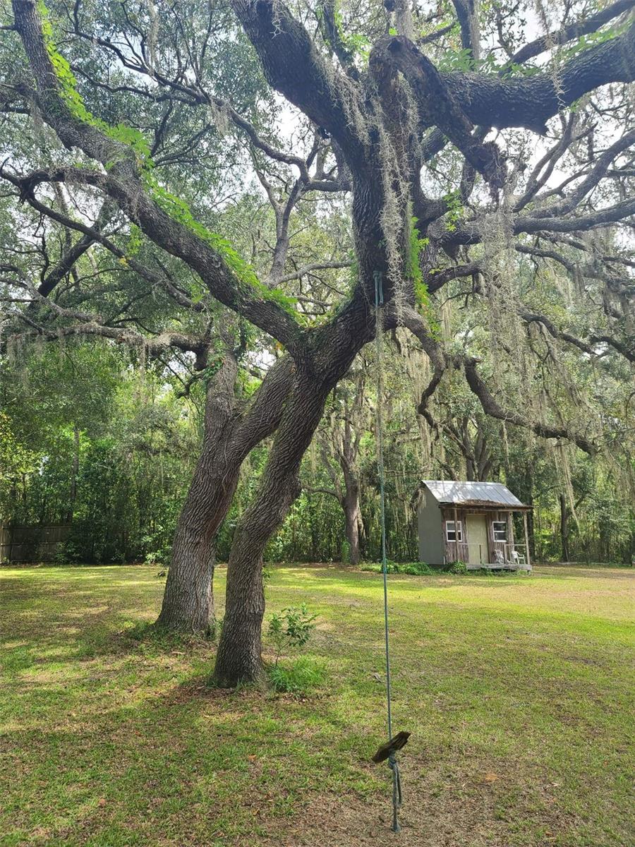 Multiple Sheds and luscious trees