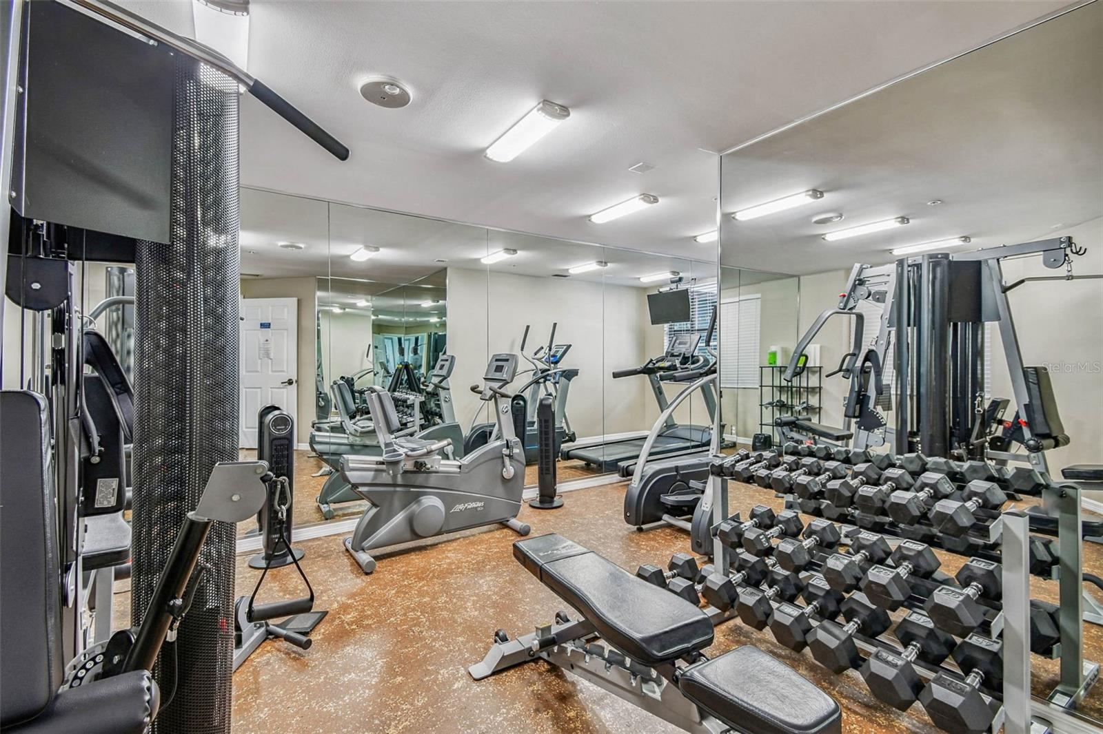 Fitness