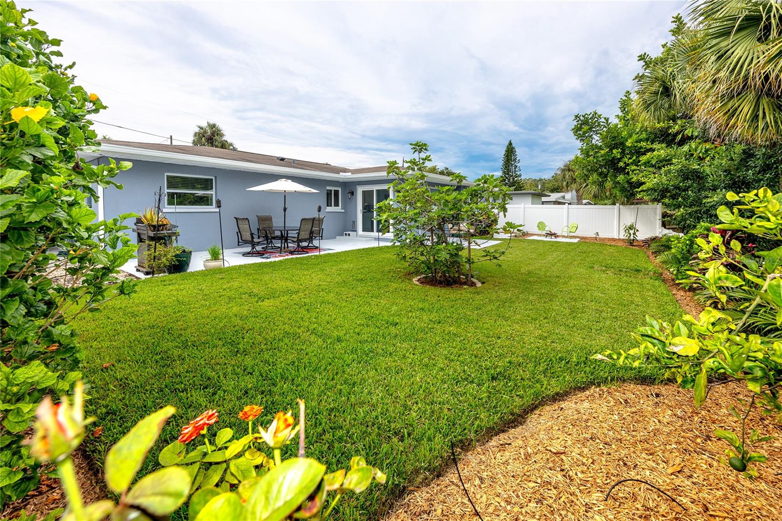 Back Yard Oasis