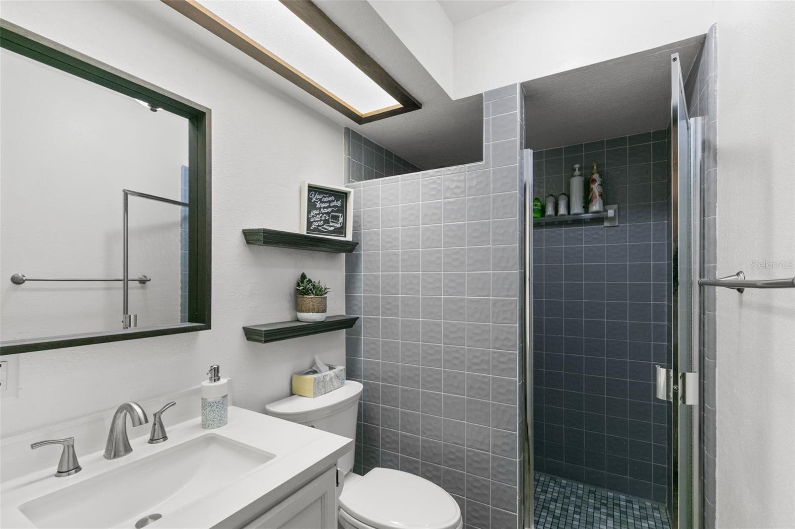 third bathroom (downstairs)