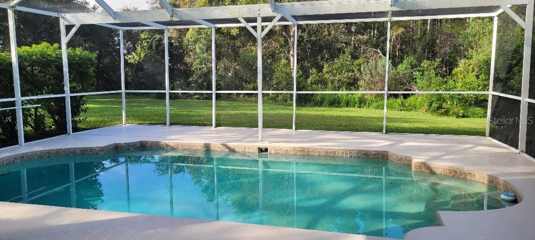 POOL-LANAI