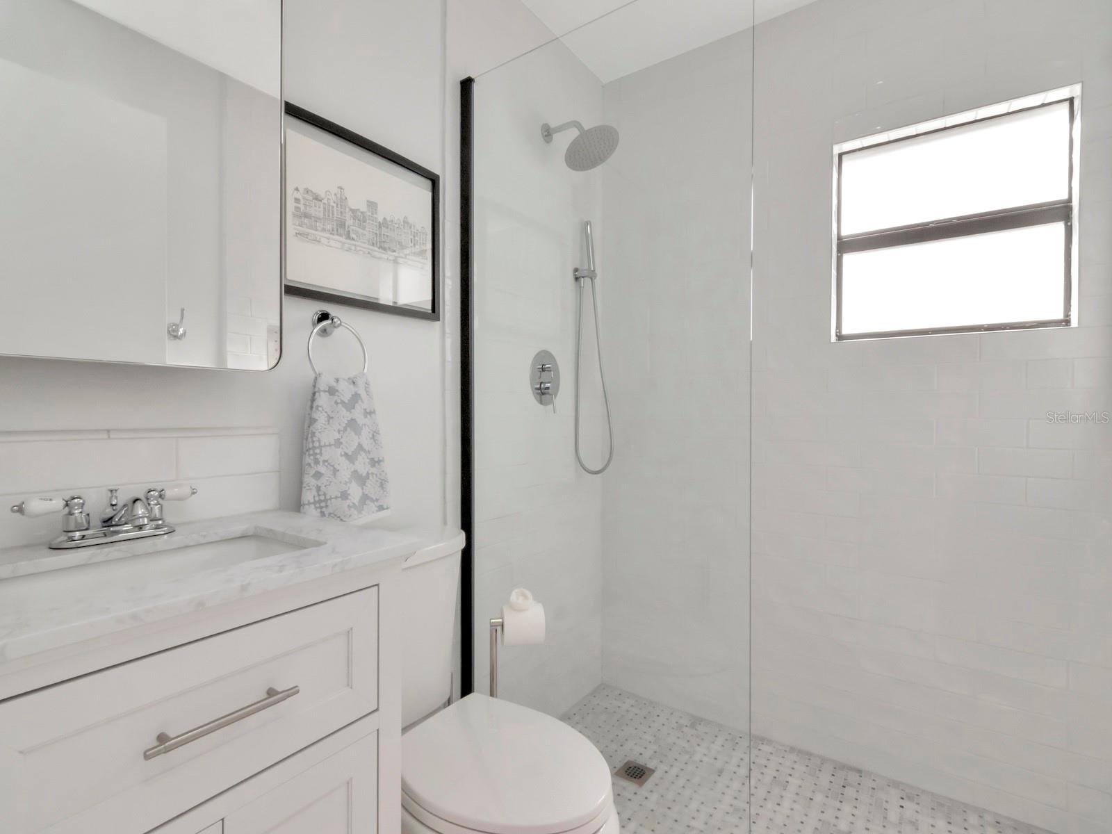 Guest Suite Bath Updated in 2024