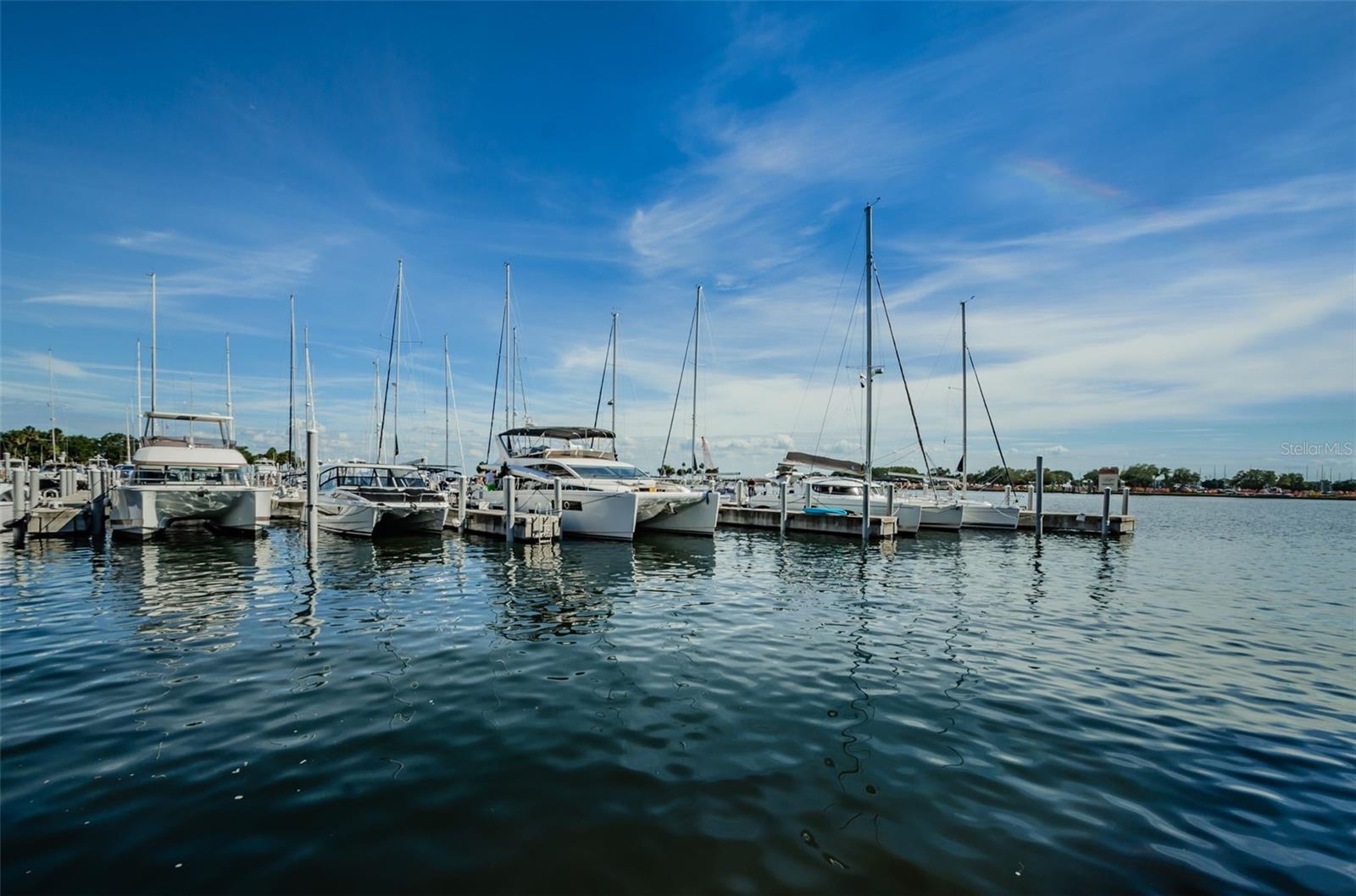 The Yacht Basin in Downtown St. Pete