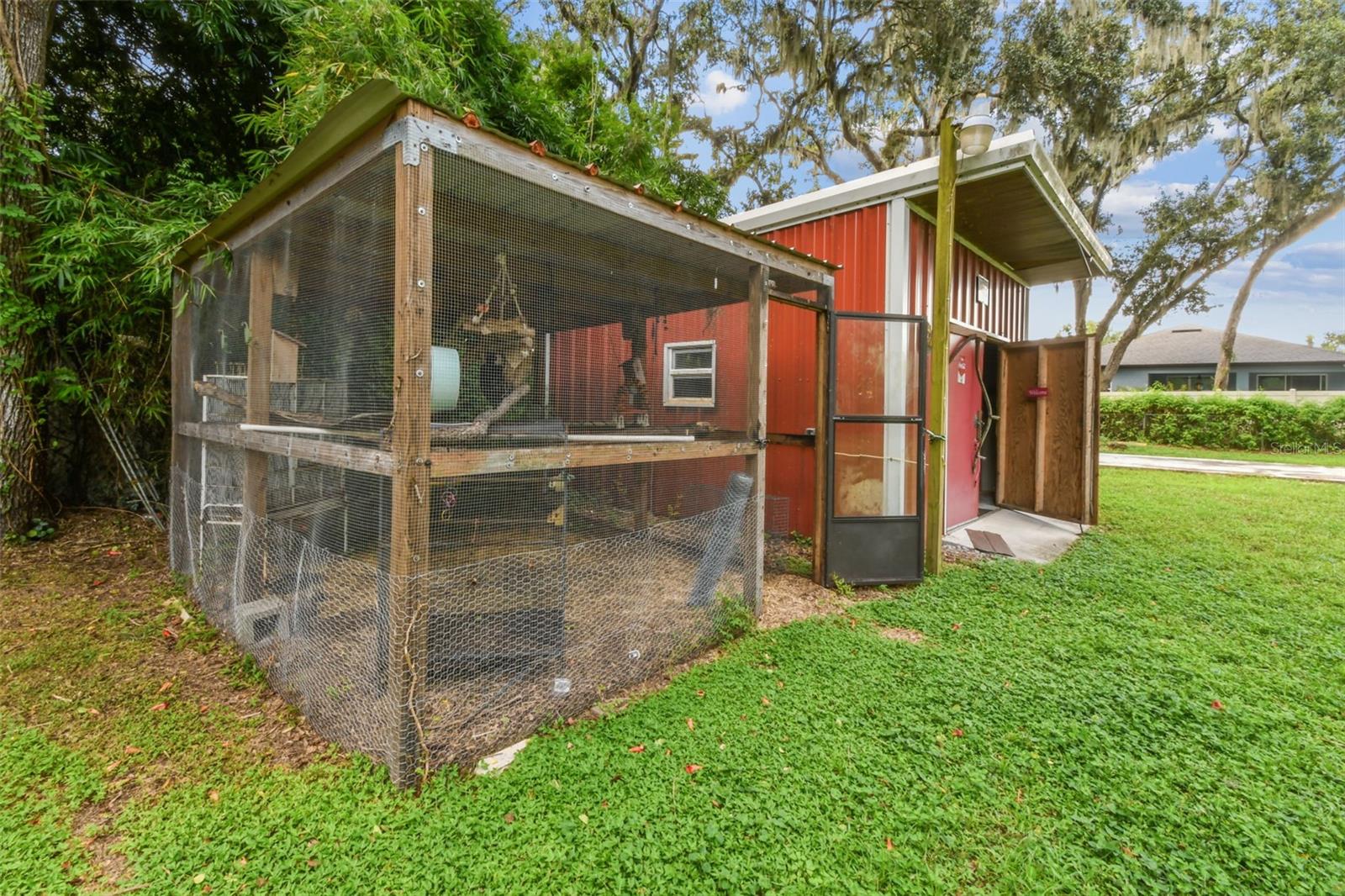 Bird or Chicken Coup