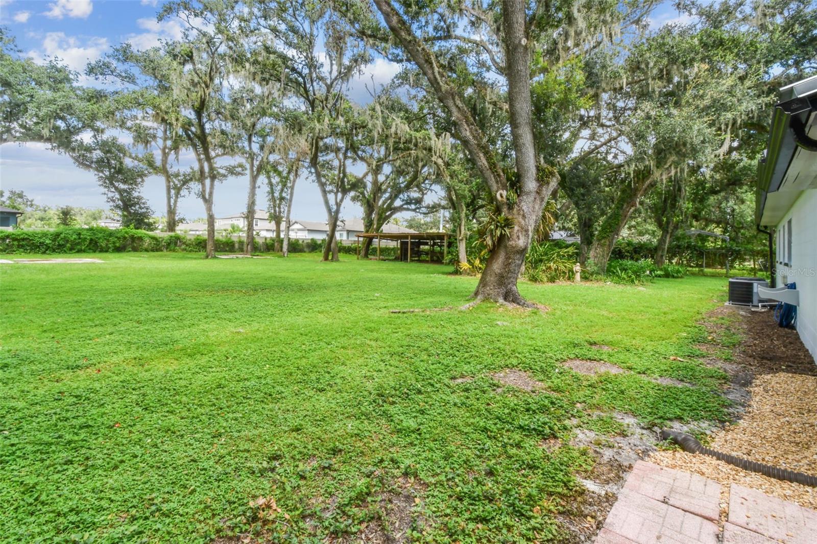 Back Yard