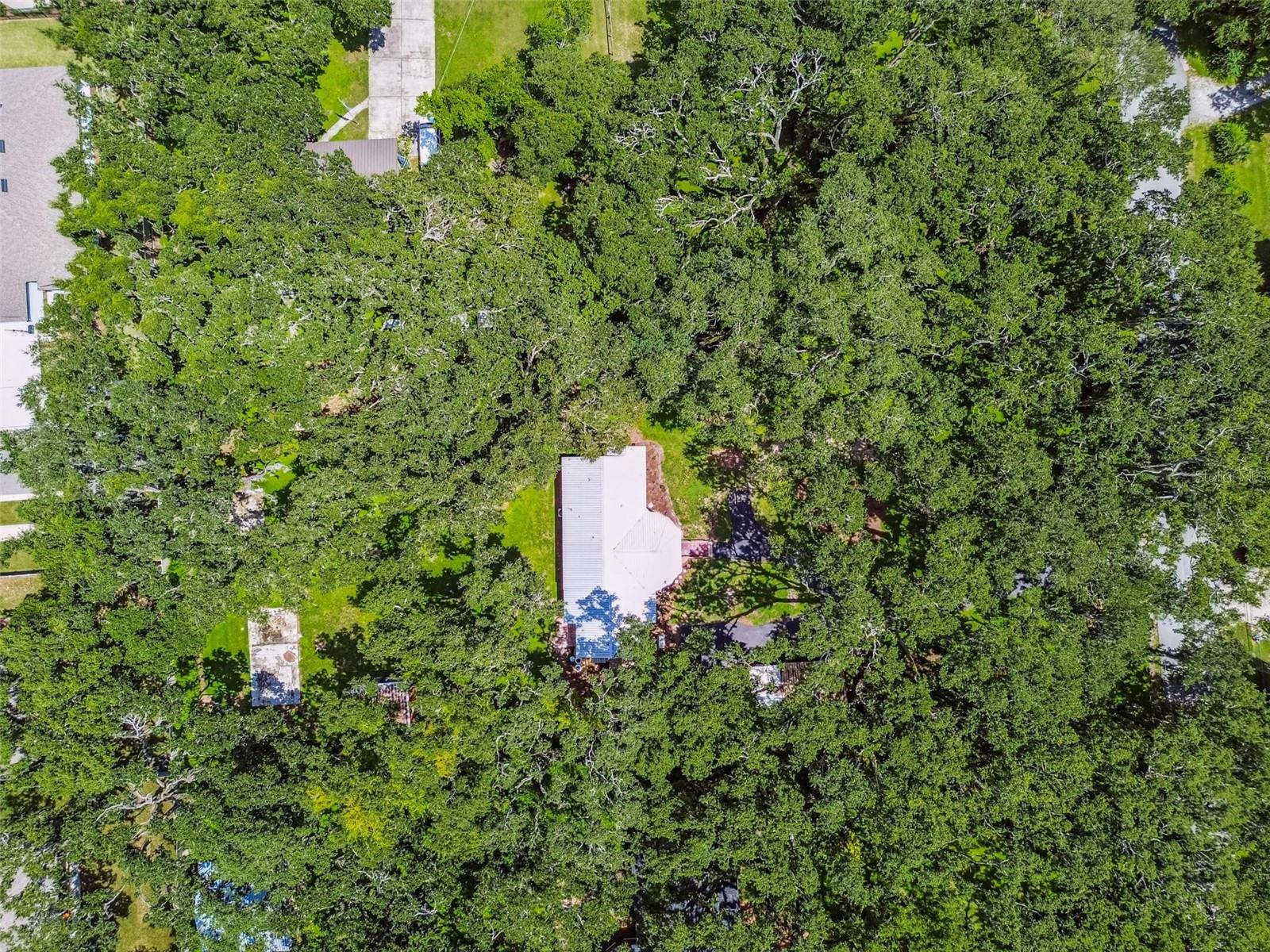 Drone Ariel View
