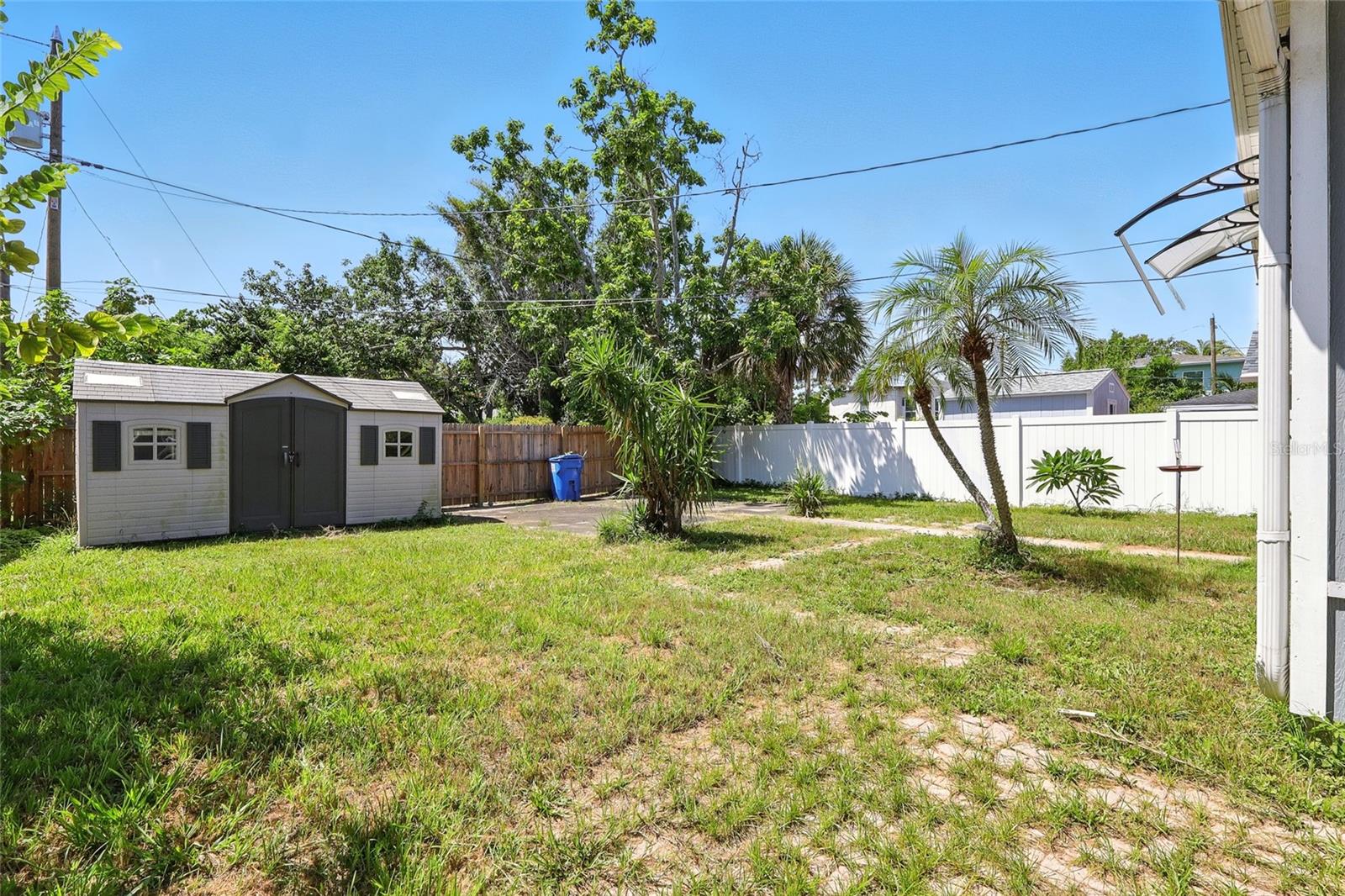 Back yard