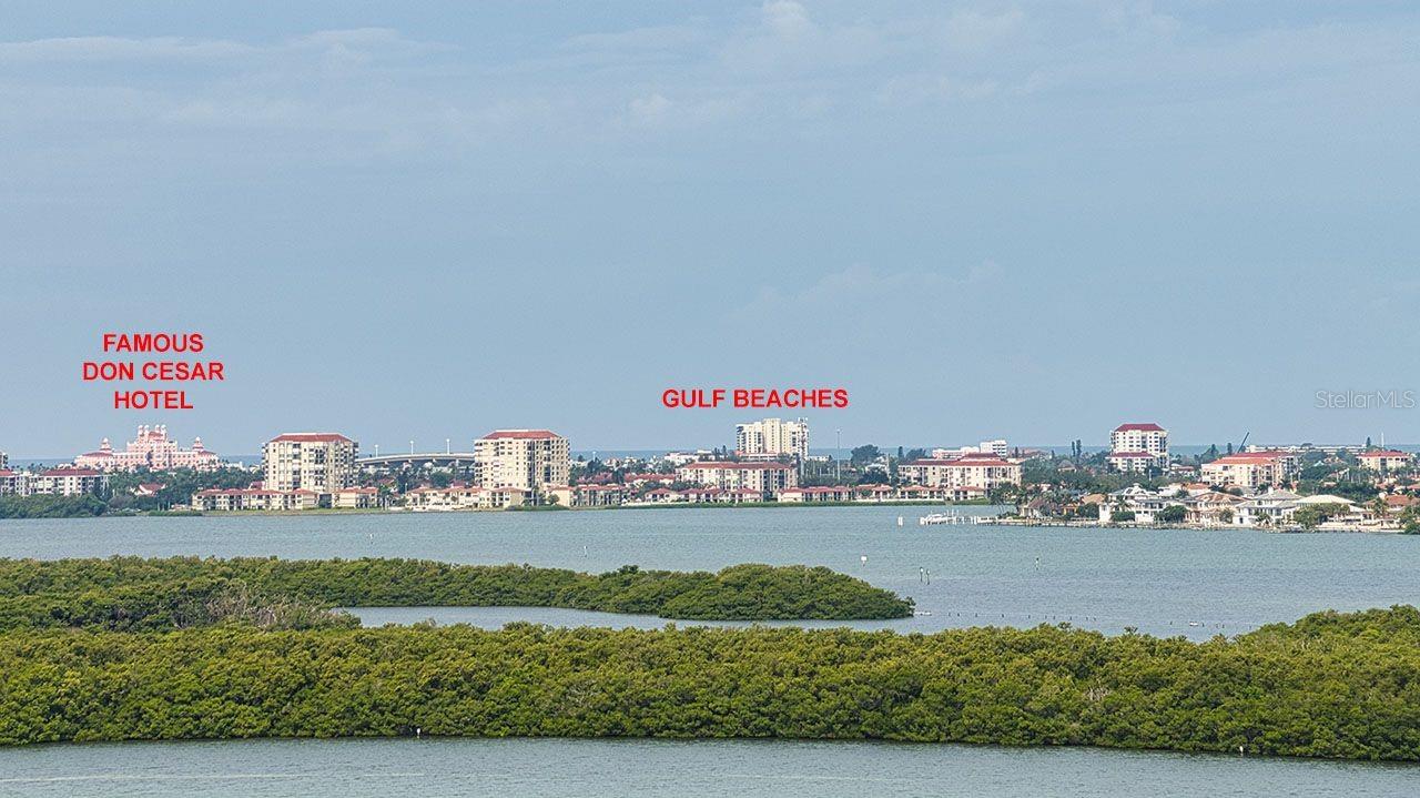 Easy access to the Beautiful Gulf Beaches and iconic Don Cesar hotel in the distance.