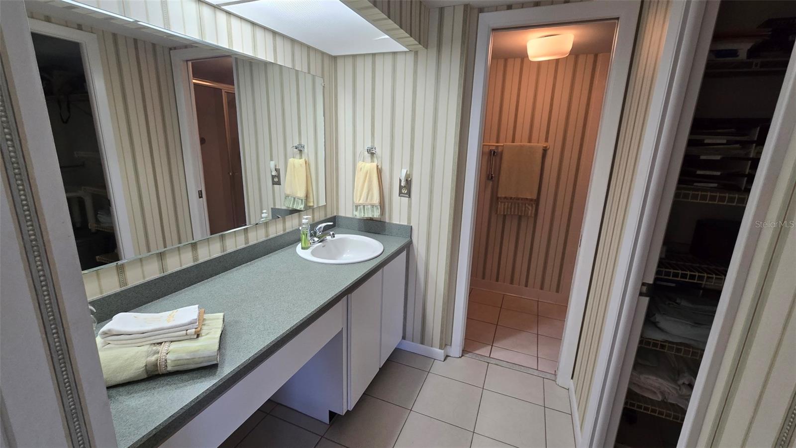 primary bathroom