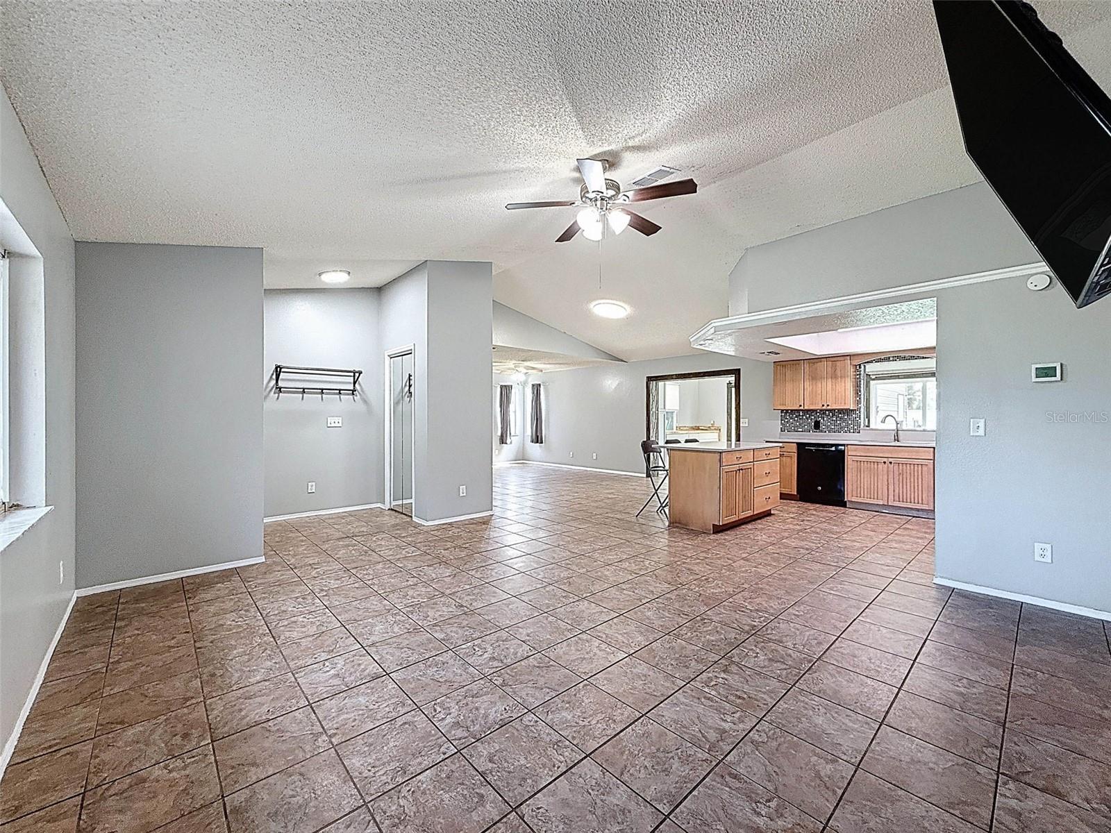Living Room and Kitchen