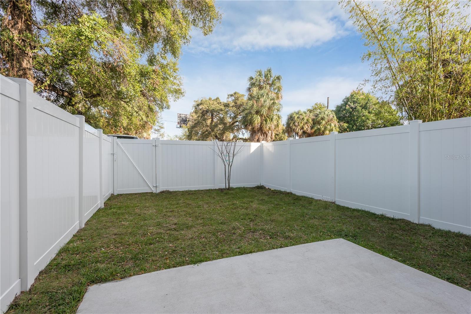 Back yard and patio