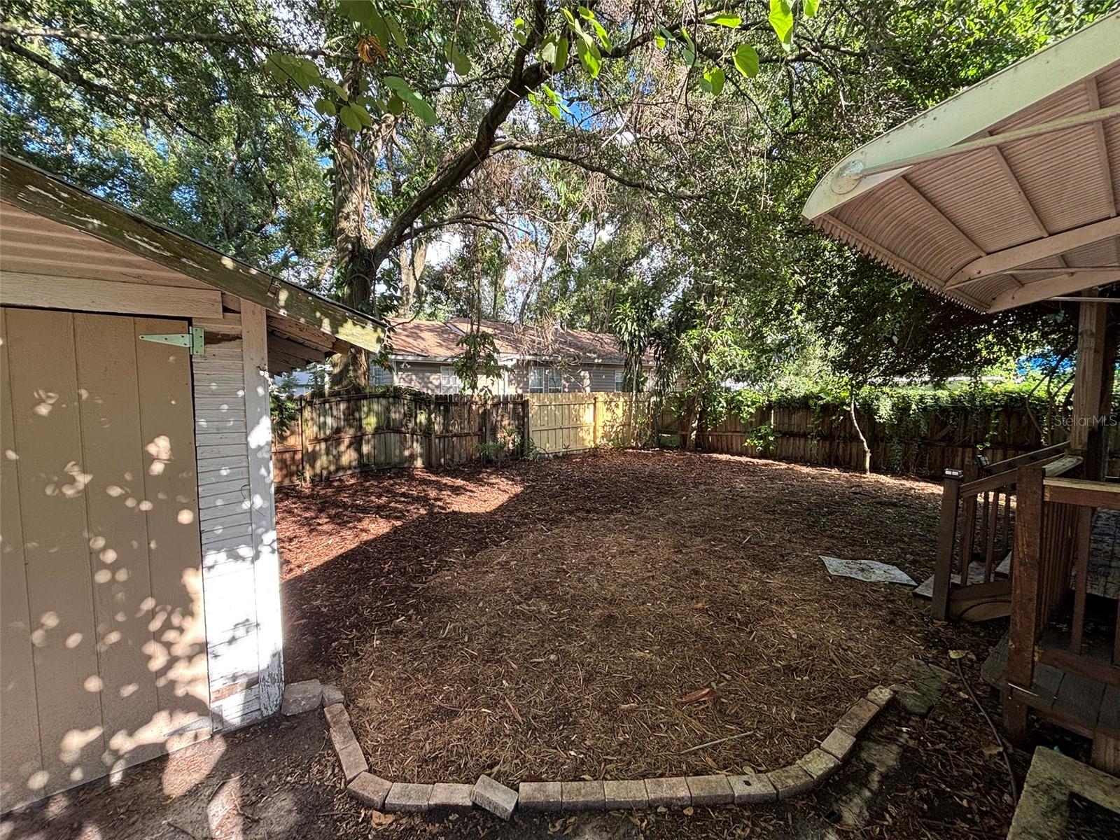 shed and backyard