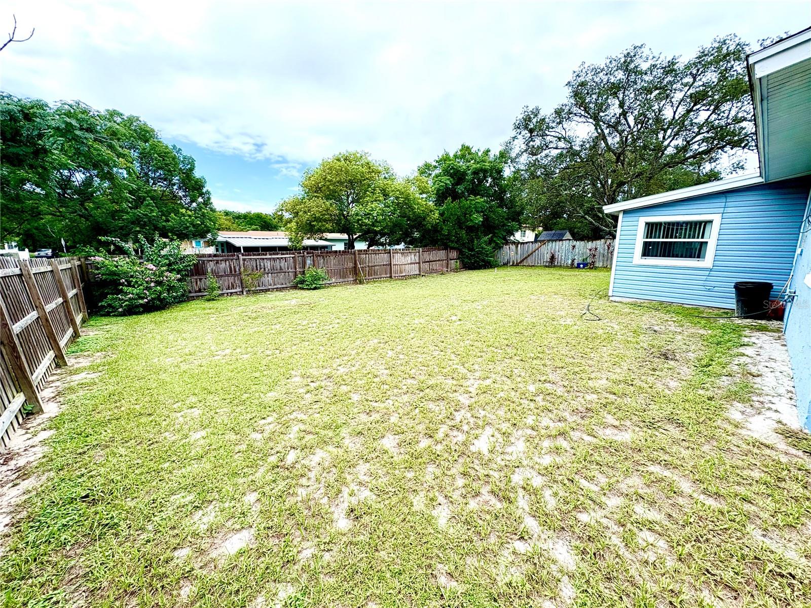 Back yard