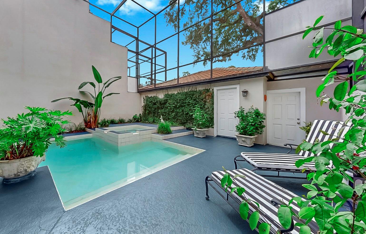 Patio and Pool