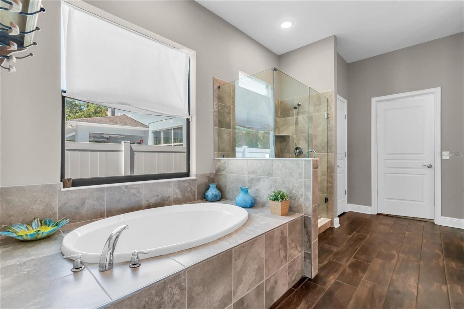 Master Bathroom Tub + Walk-In Shower
