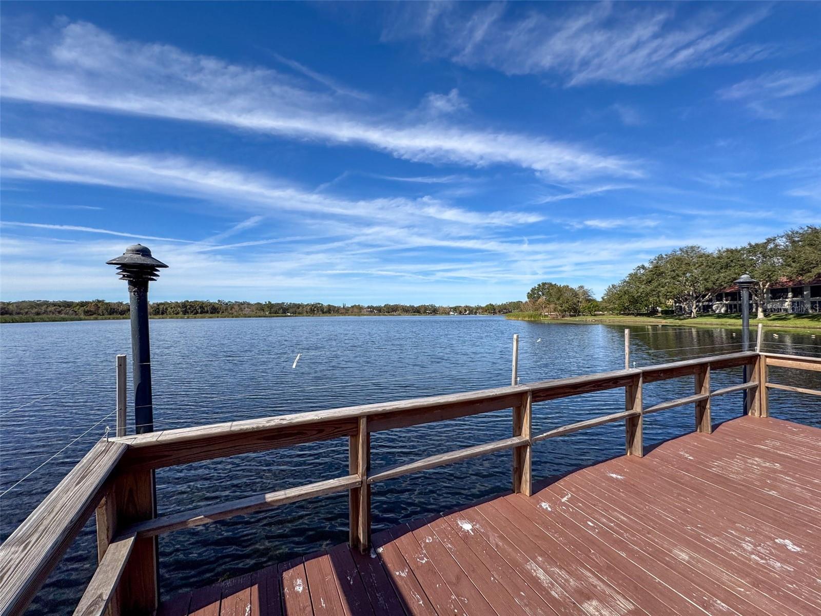 Community pier and lake view