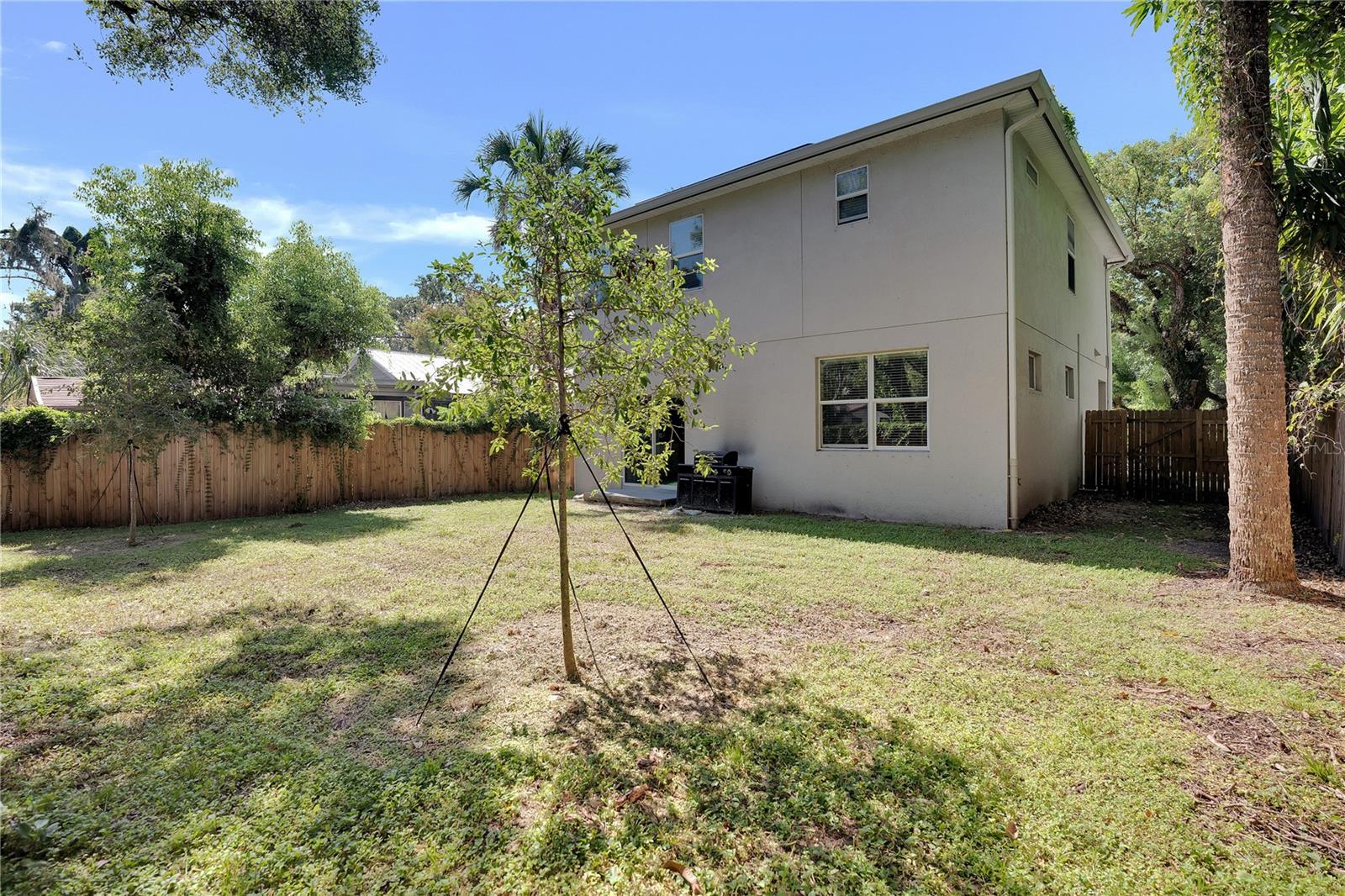 Large fenced backyard