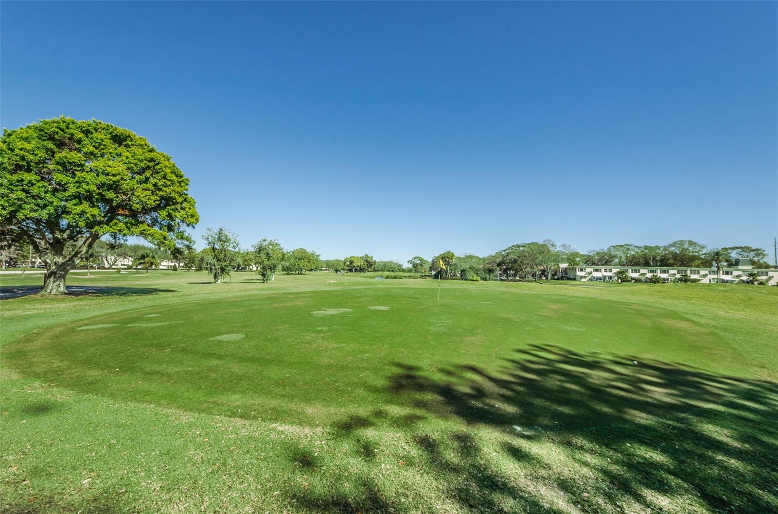 Golf Course, Of Course!