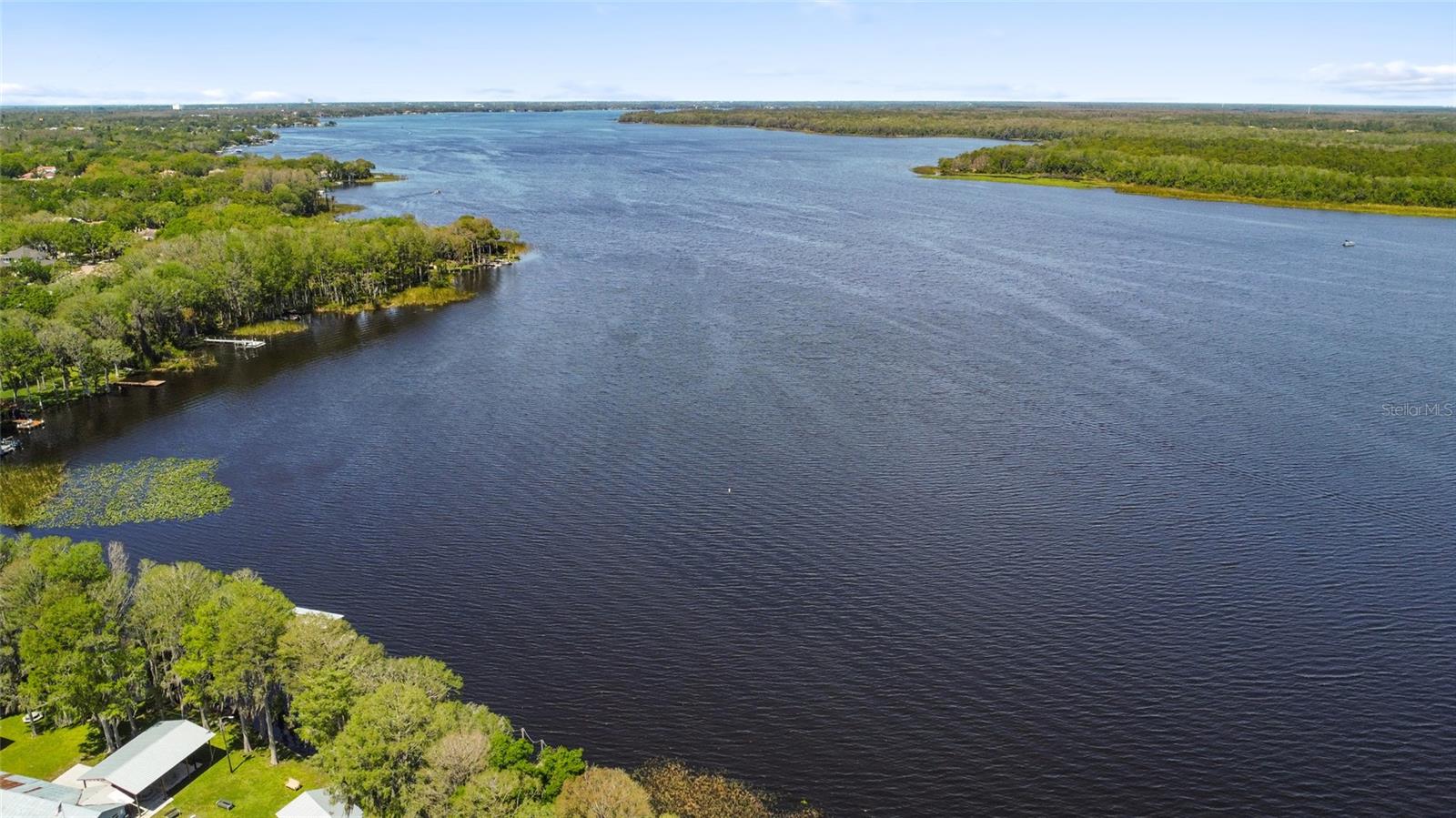 Lake Tarpon