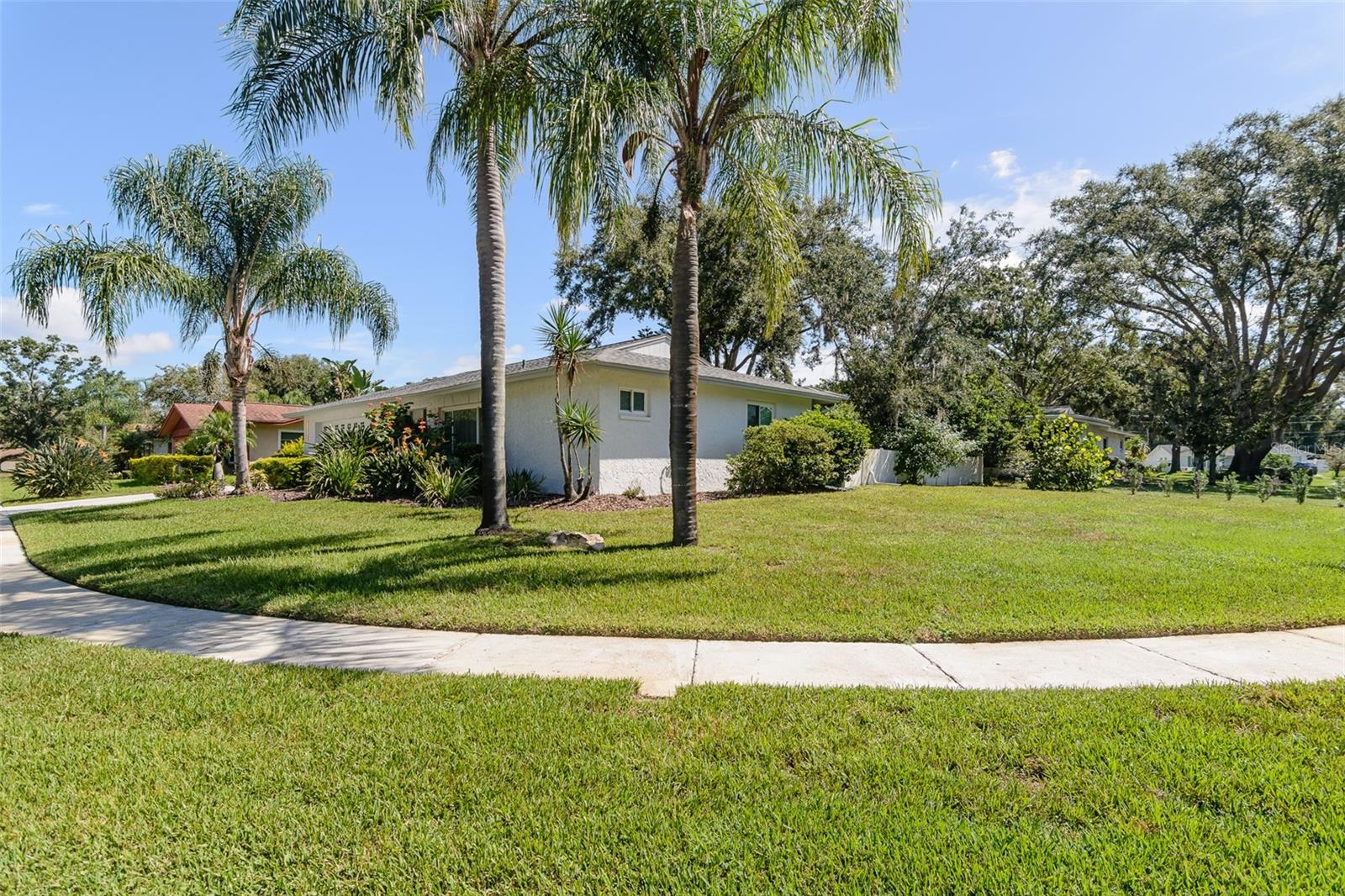 Huge corner lot.