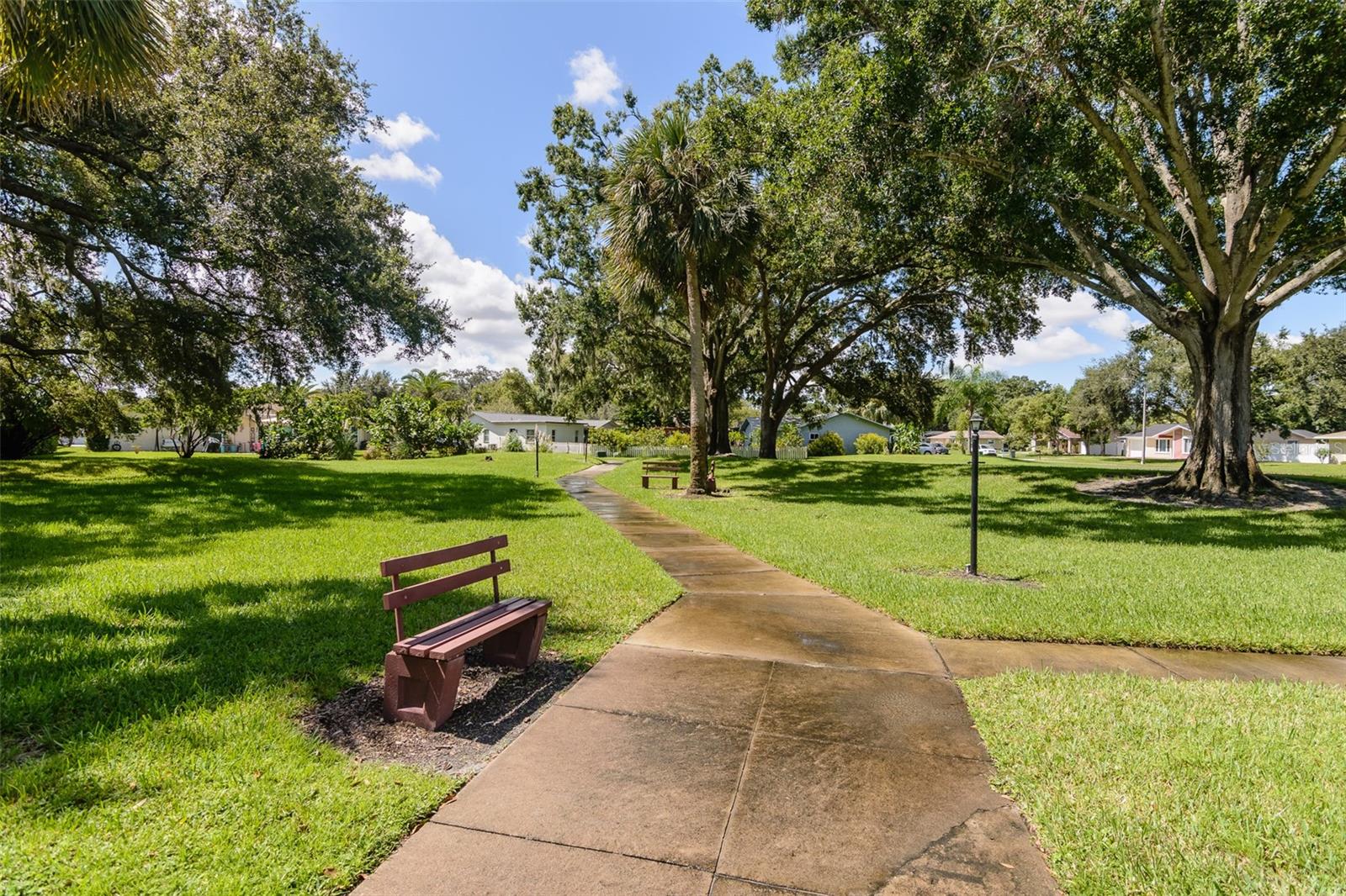 Park surrounding pool