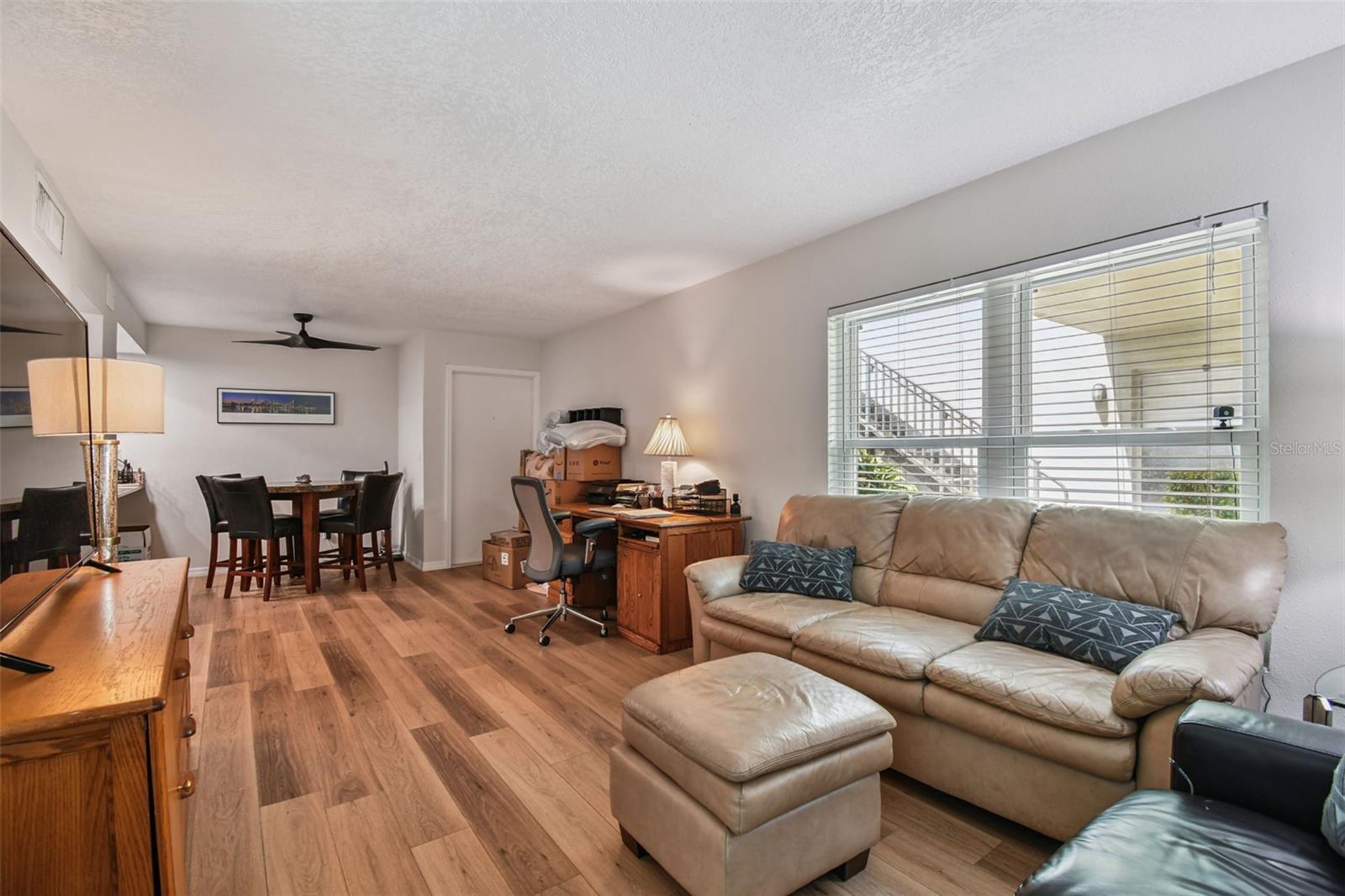 Living Room and Dining Room Combo