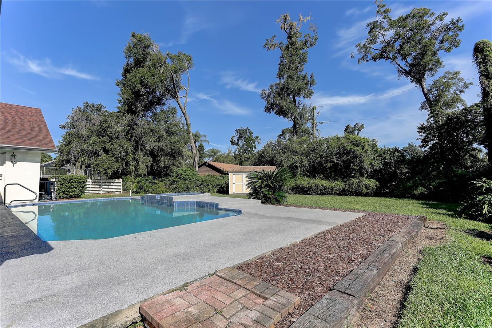 Pool & Backyard