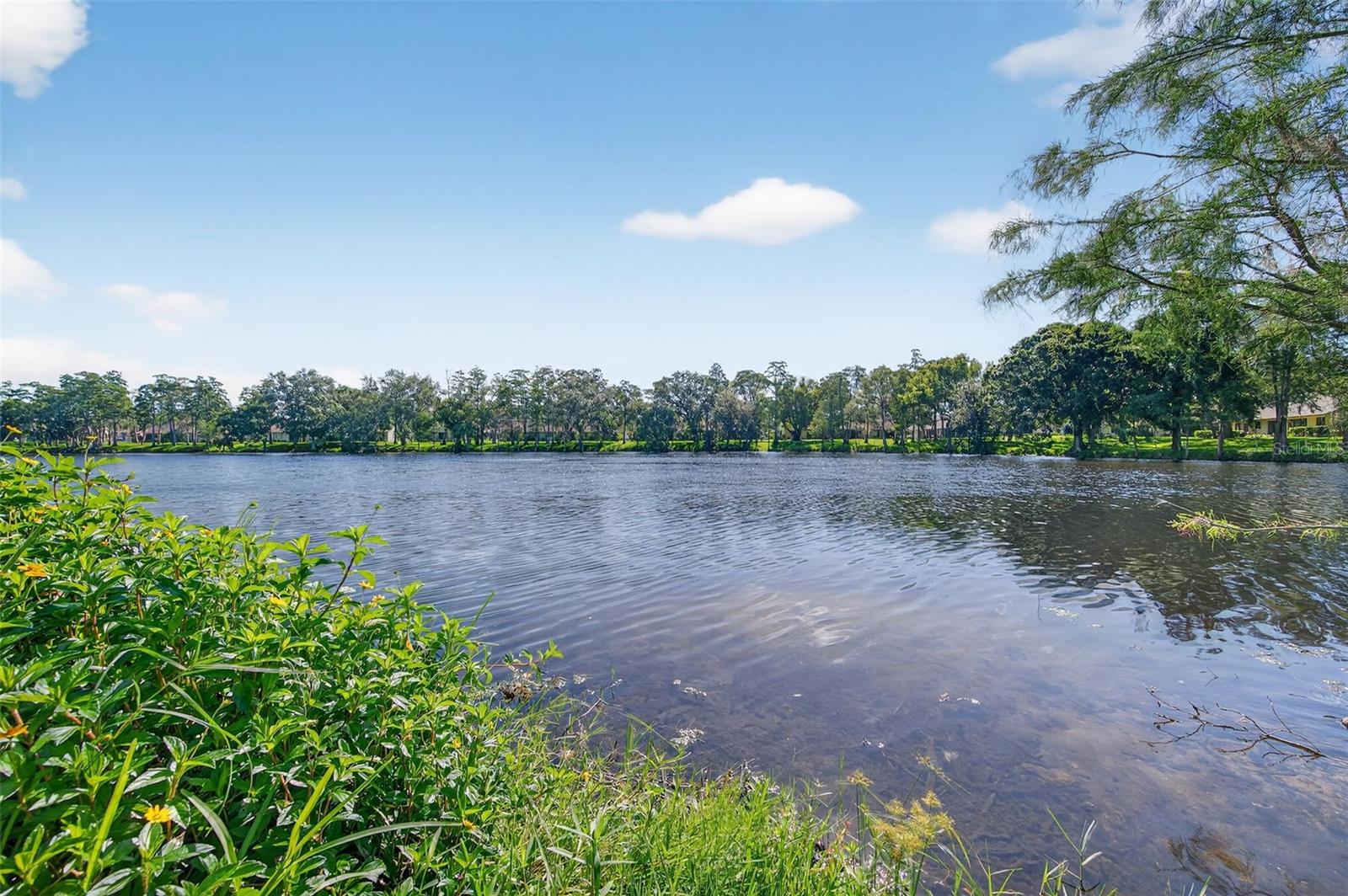 Community Lake view from back yard